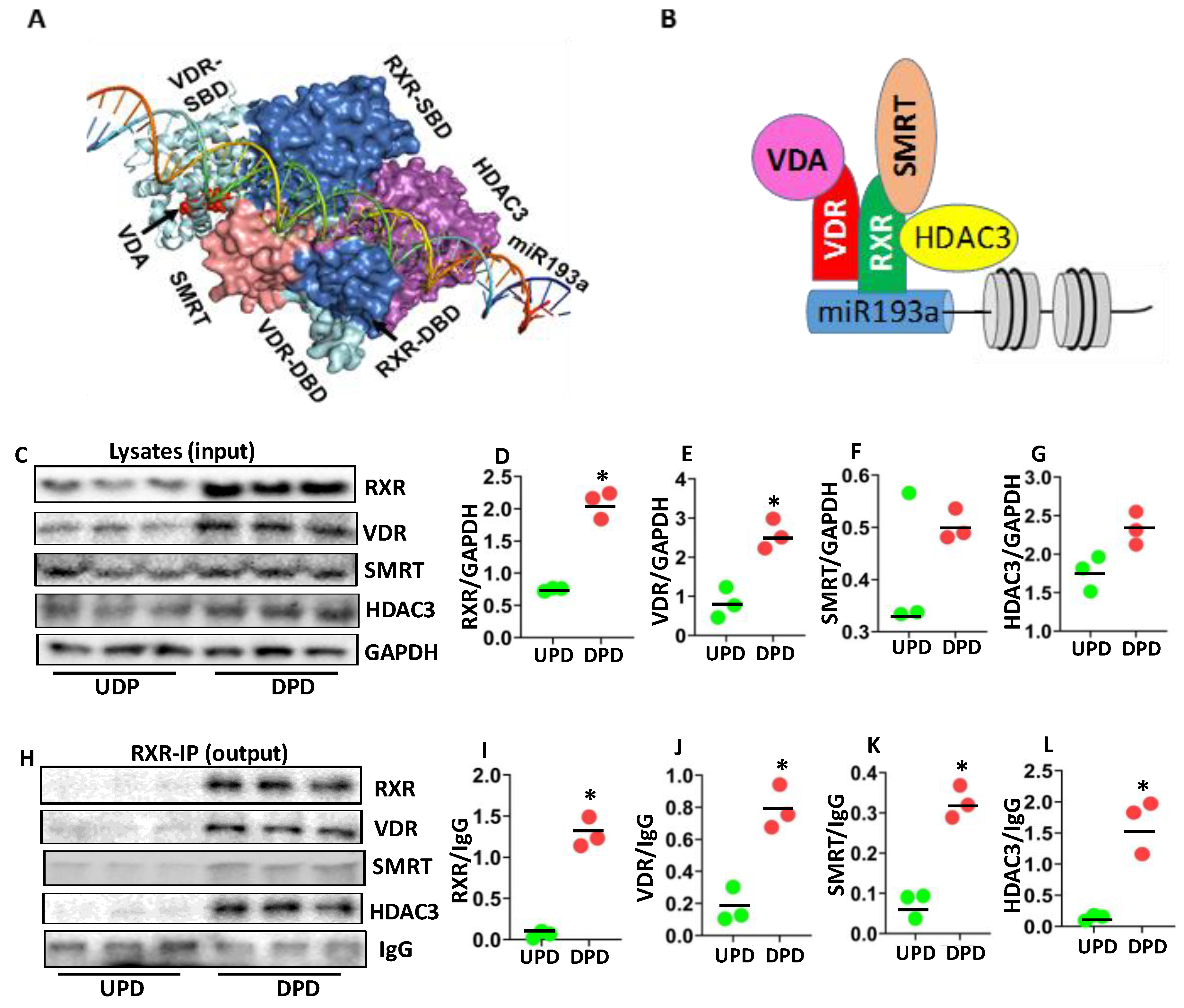 Cells 09 01004 g005 Cells 09 01004 g005