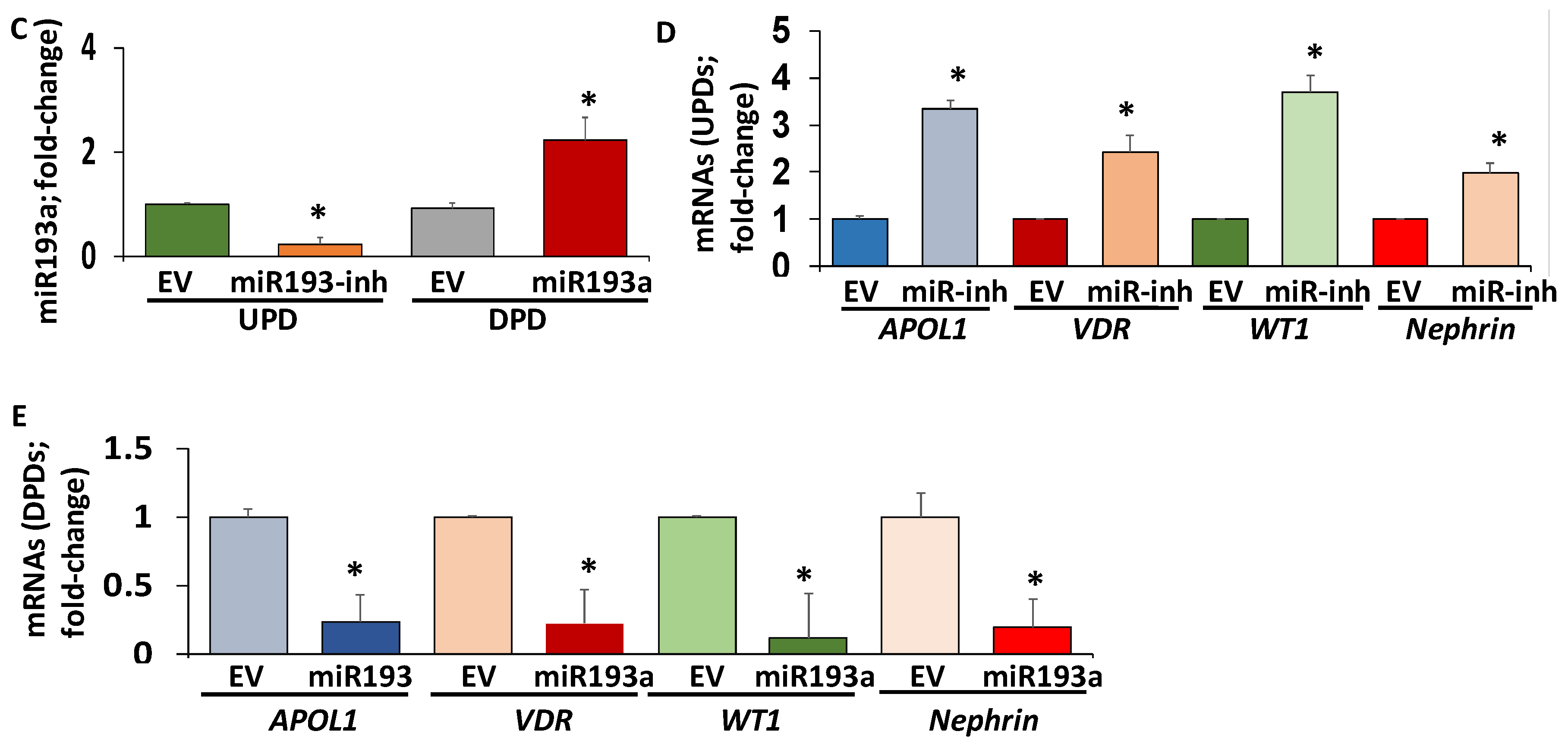 Cells 09 01004 g007b Cells 09 01004 g007b