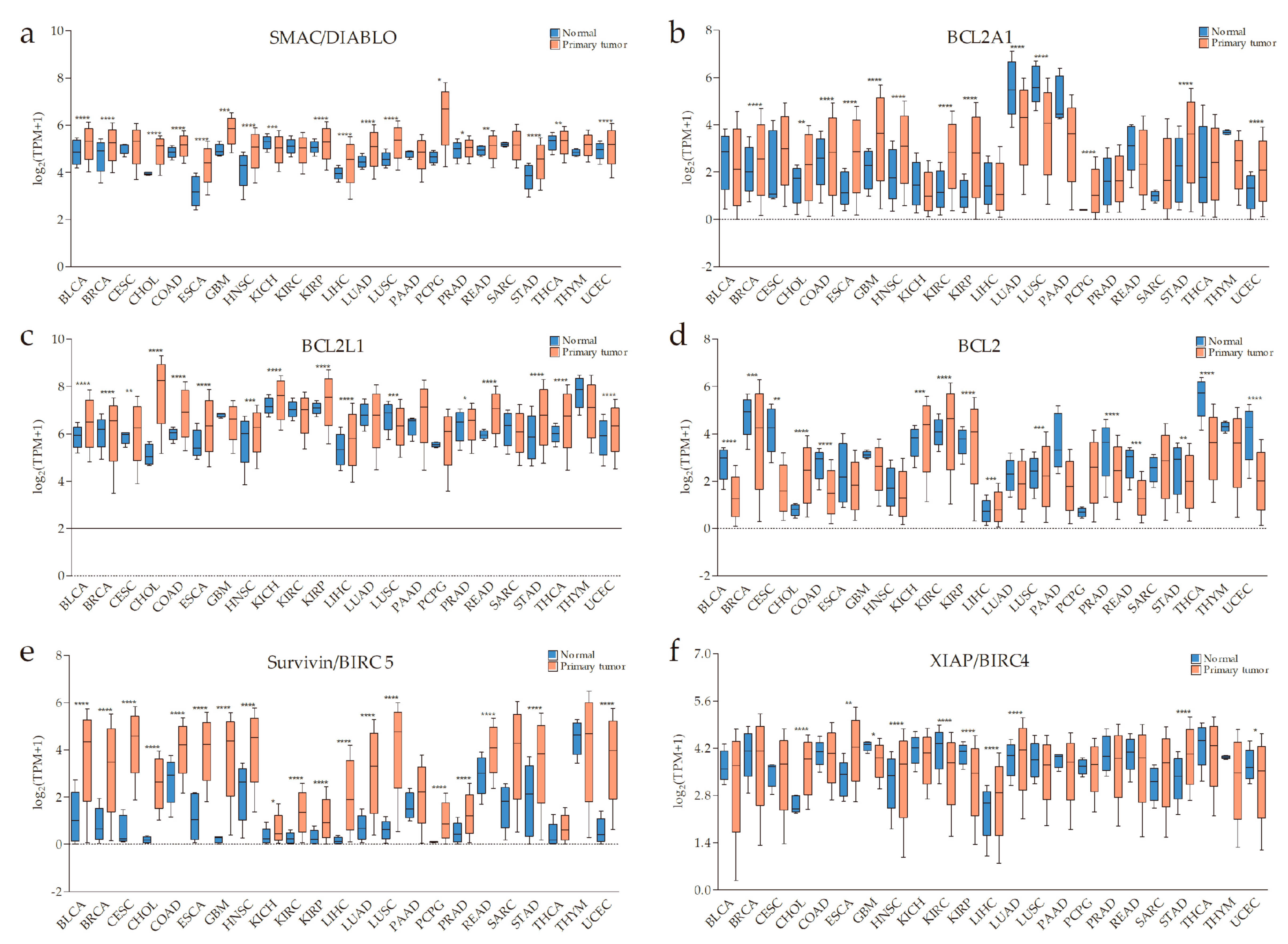 Cells 09 01012 g001a Cells 09 01012 g001a