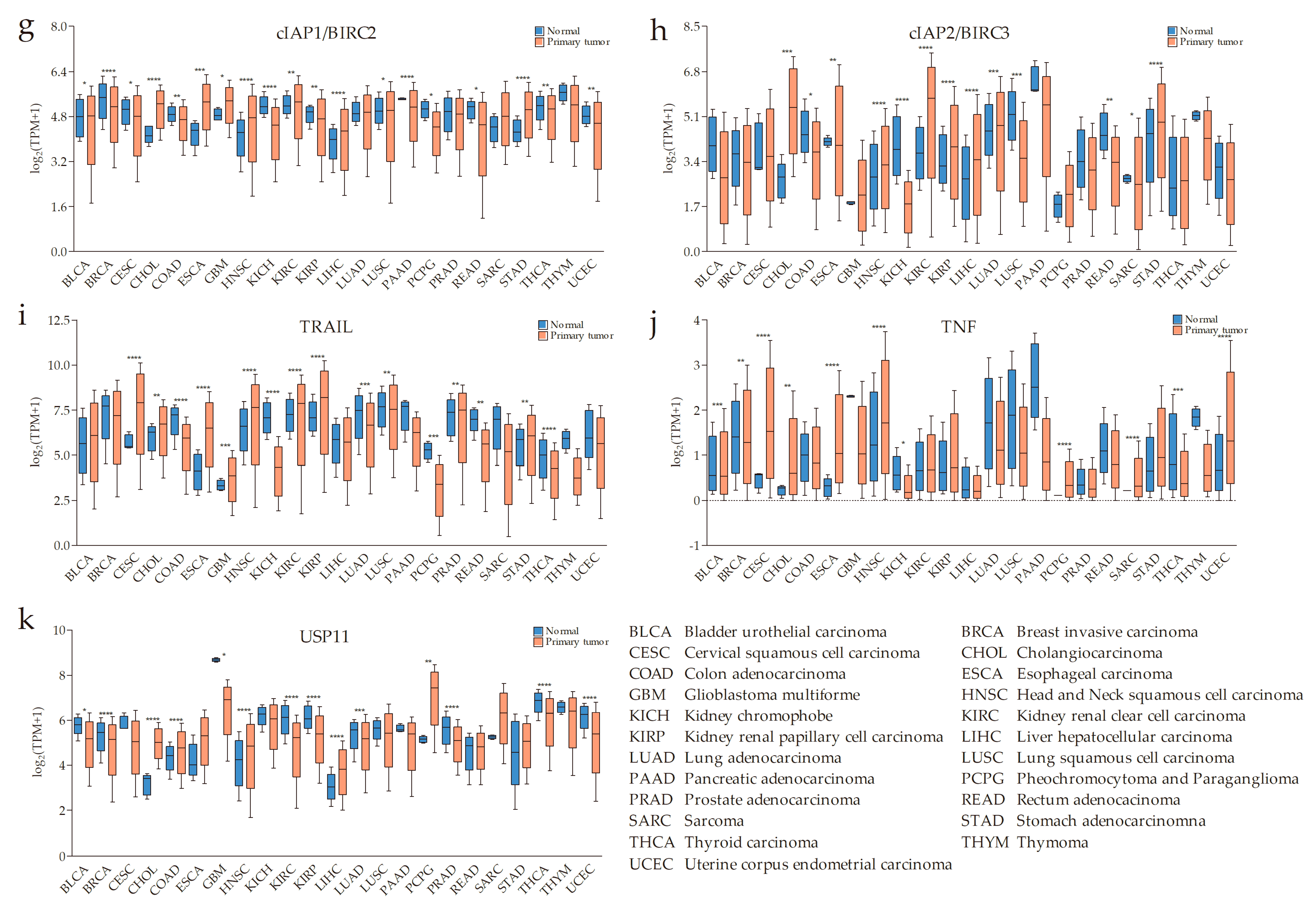 Cells 09 01012 g001b Cells 09 01012 g001b