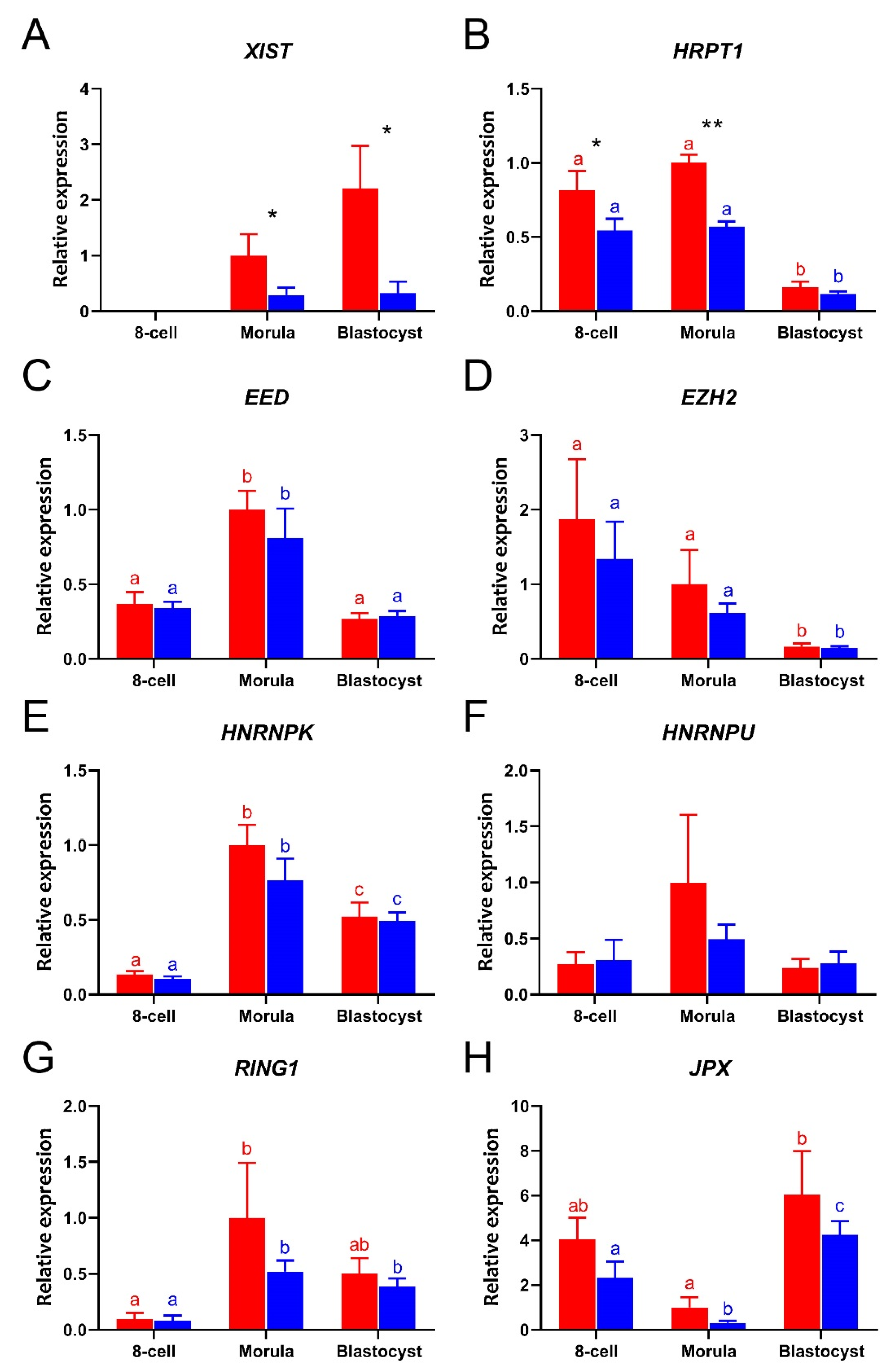 Cells 09 01016 g002 Cells 09 01016 g002