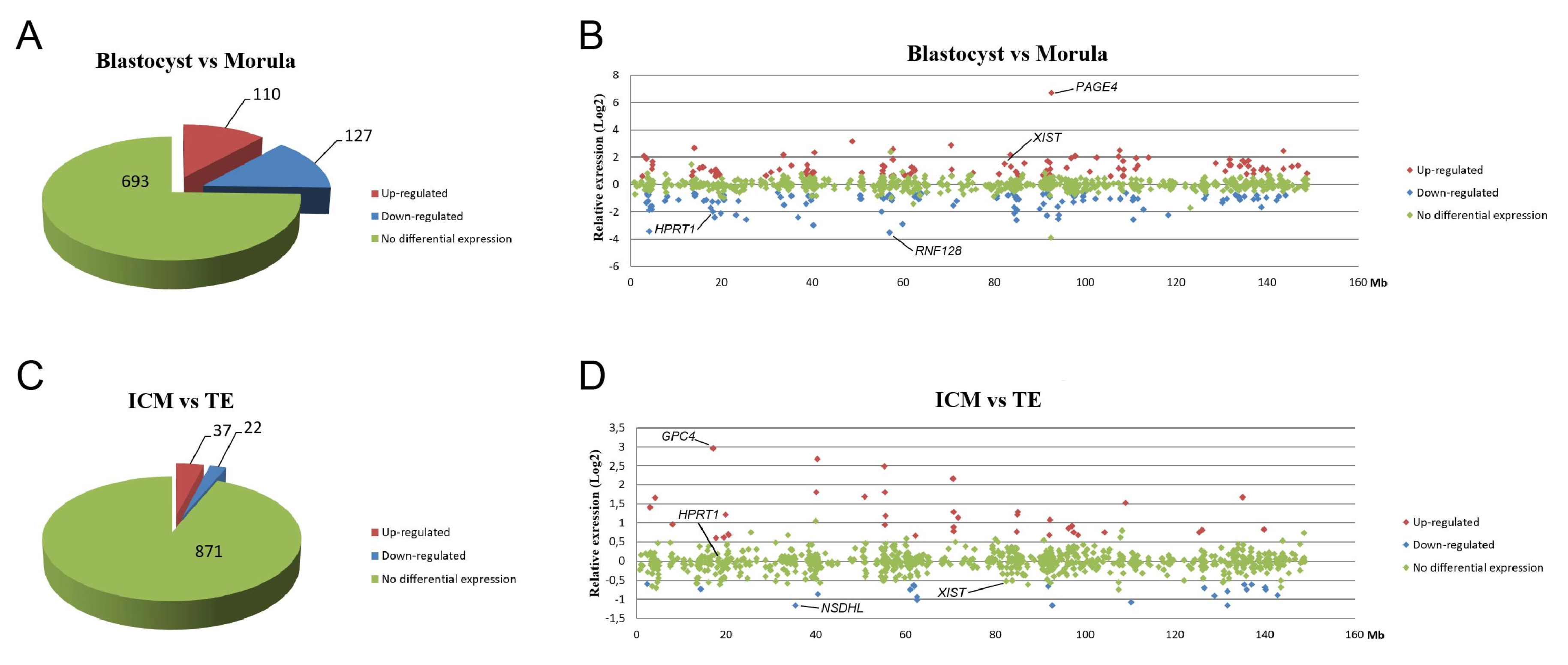 Cells 09 01016 g006 Cells 09 01016 g006