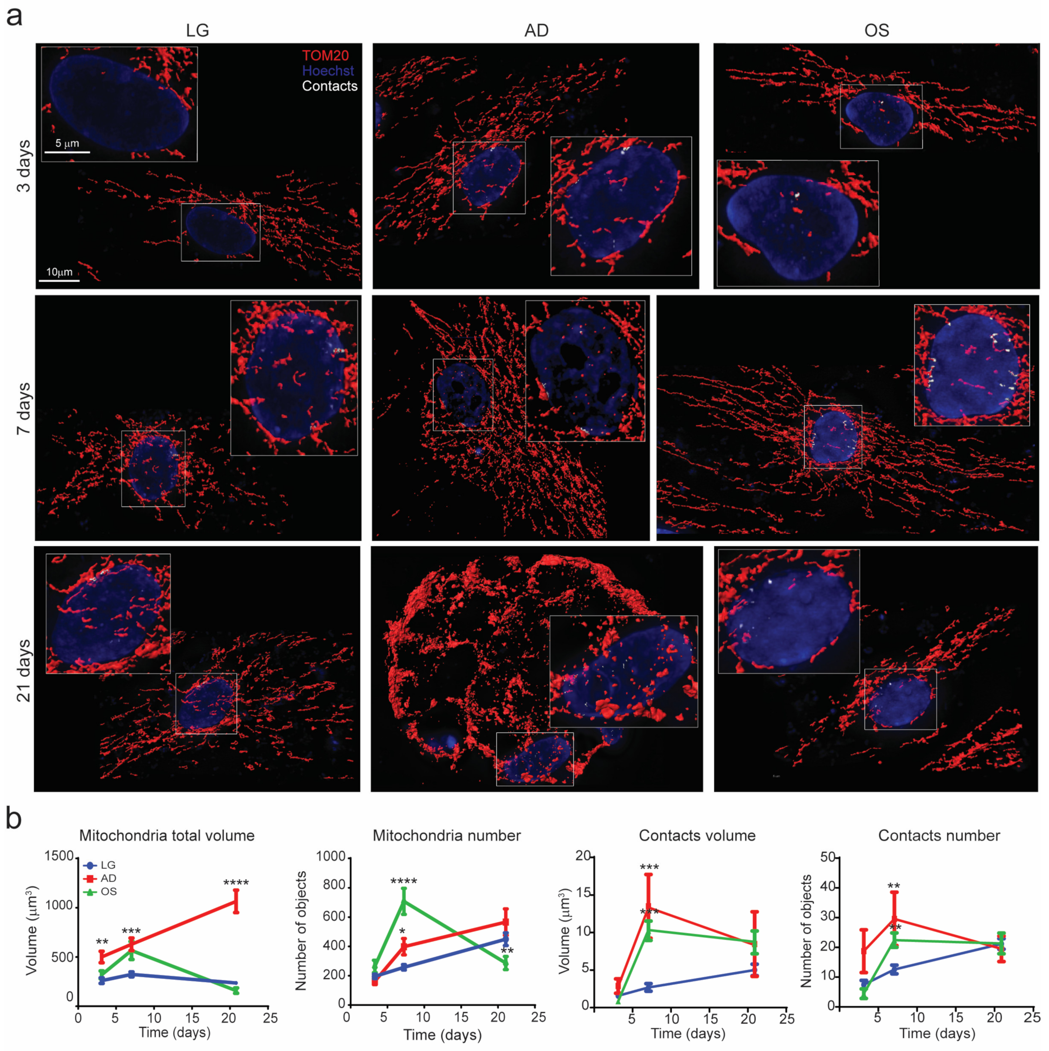Cells 09 01034 g001