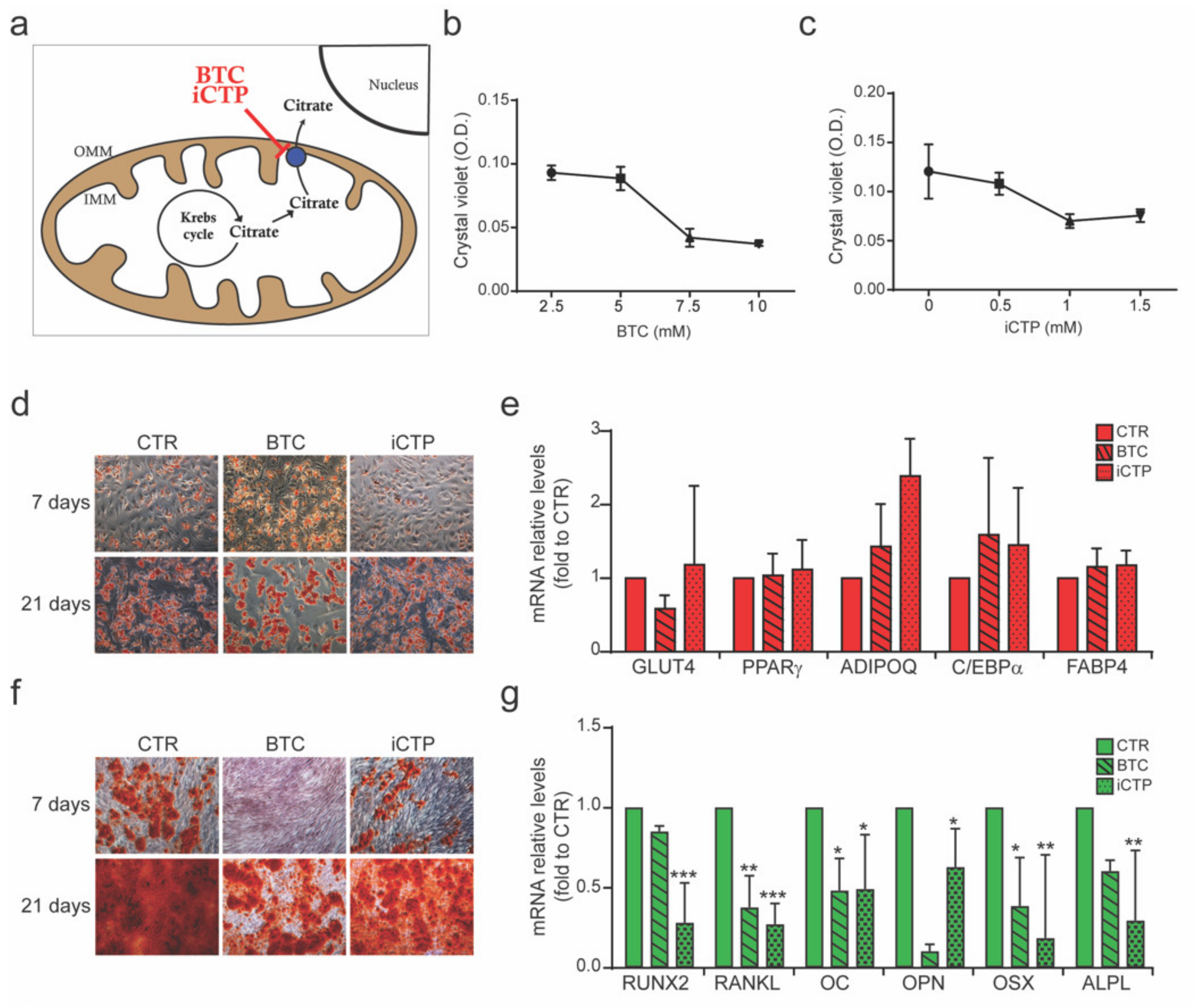 Cells 09 01034 g003