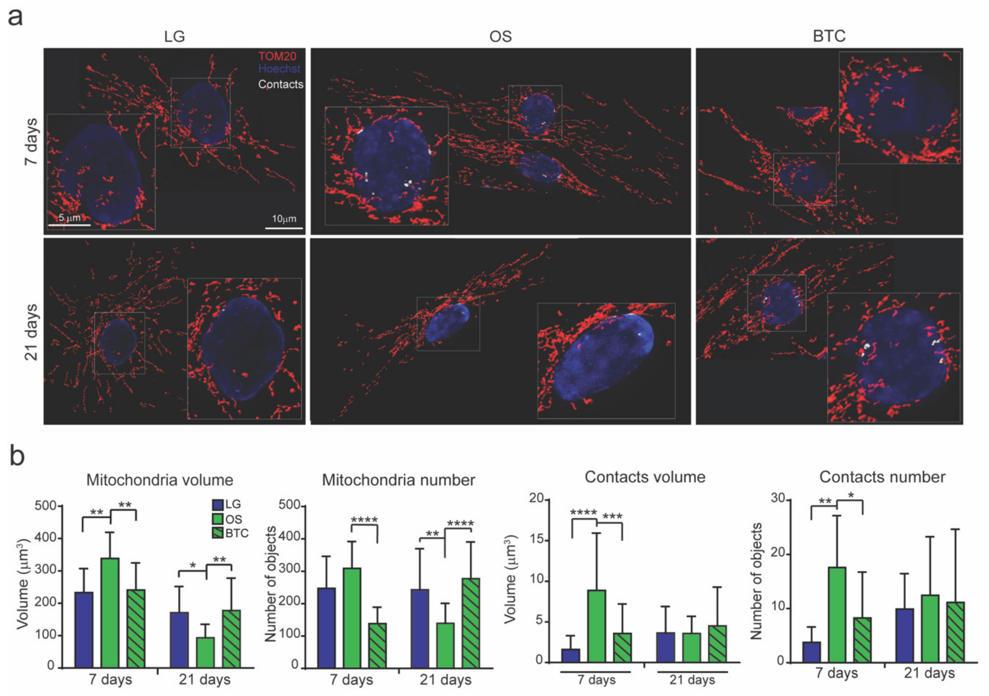Cells 09 01034 g004