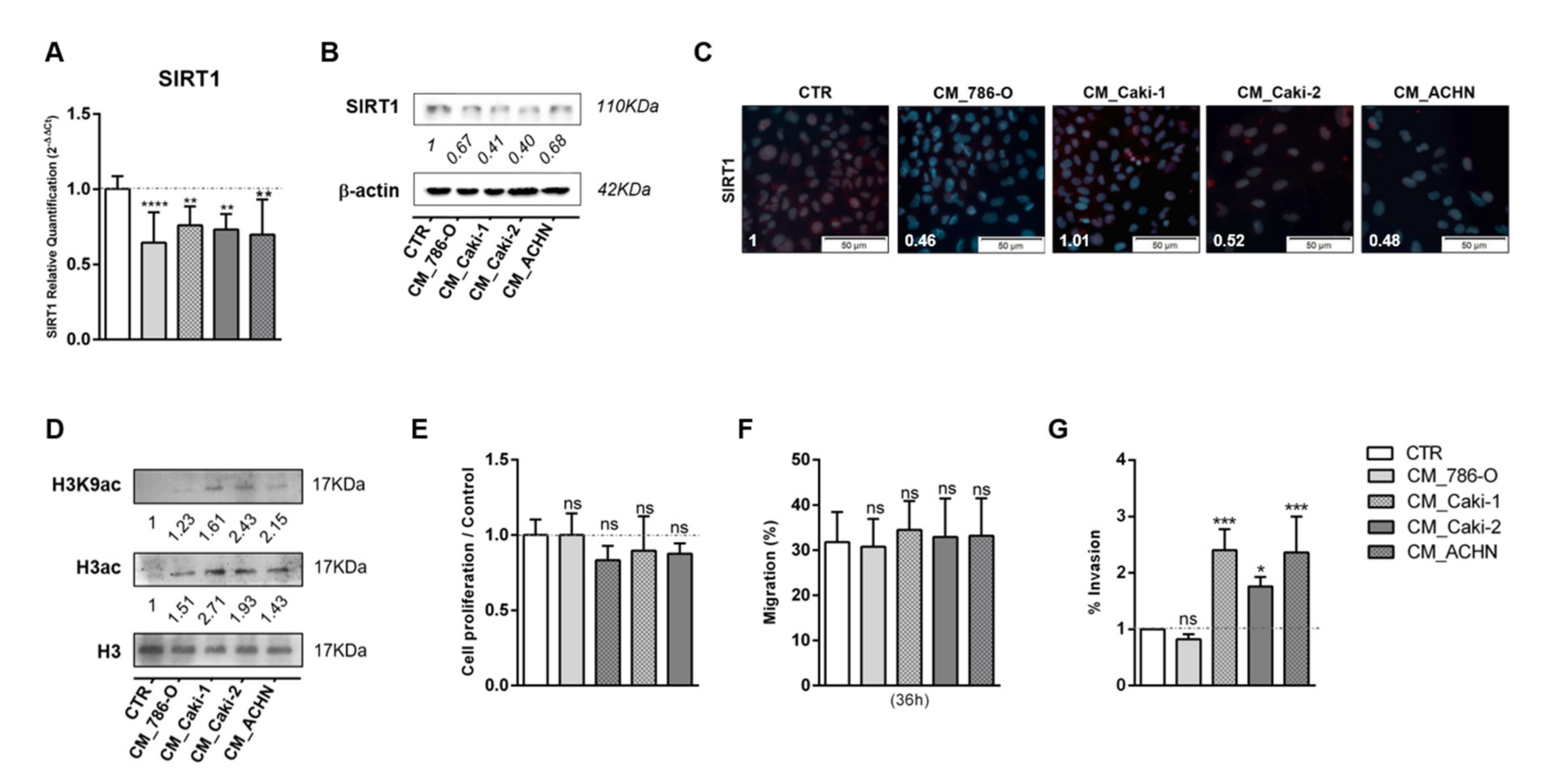 Cells 09 01053 g003 Cells 09 01053 g003