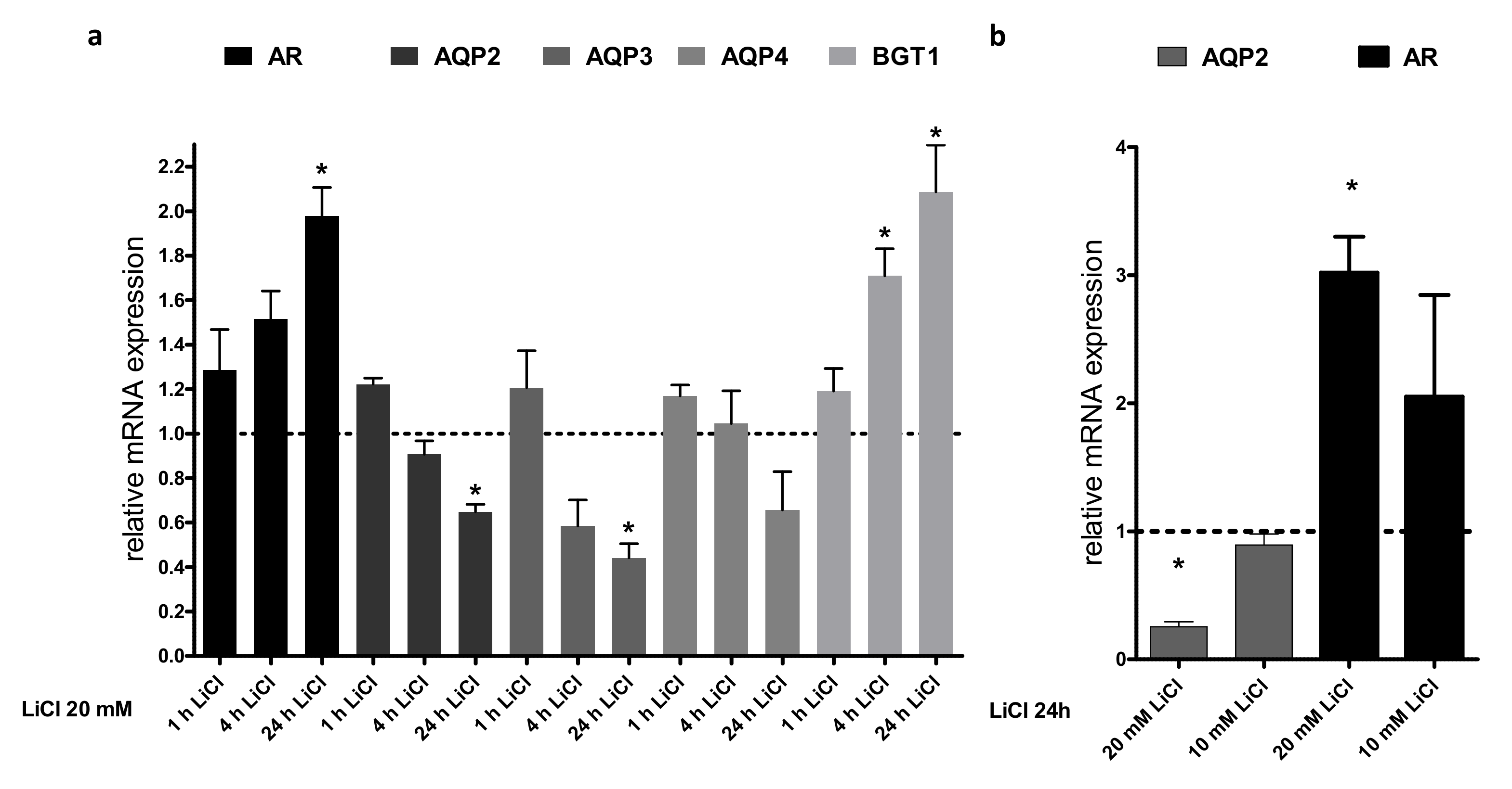 Cells 09 01060 g004 Cells 09 01060 g004