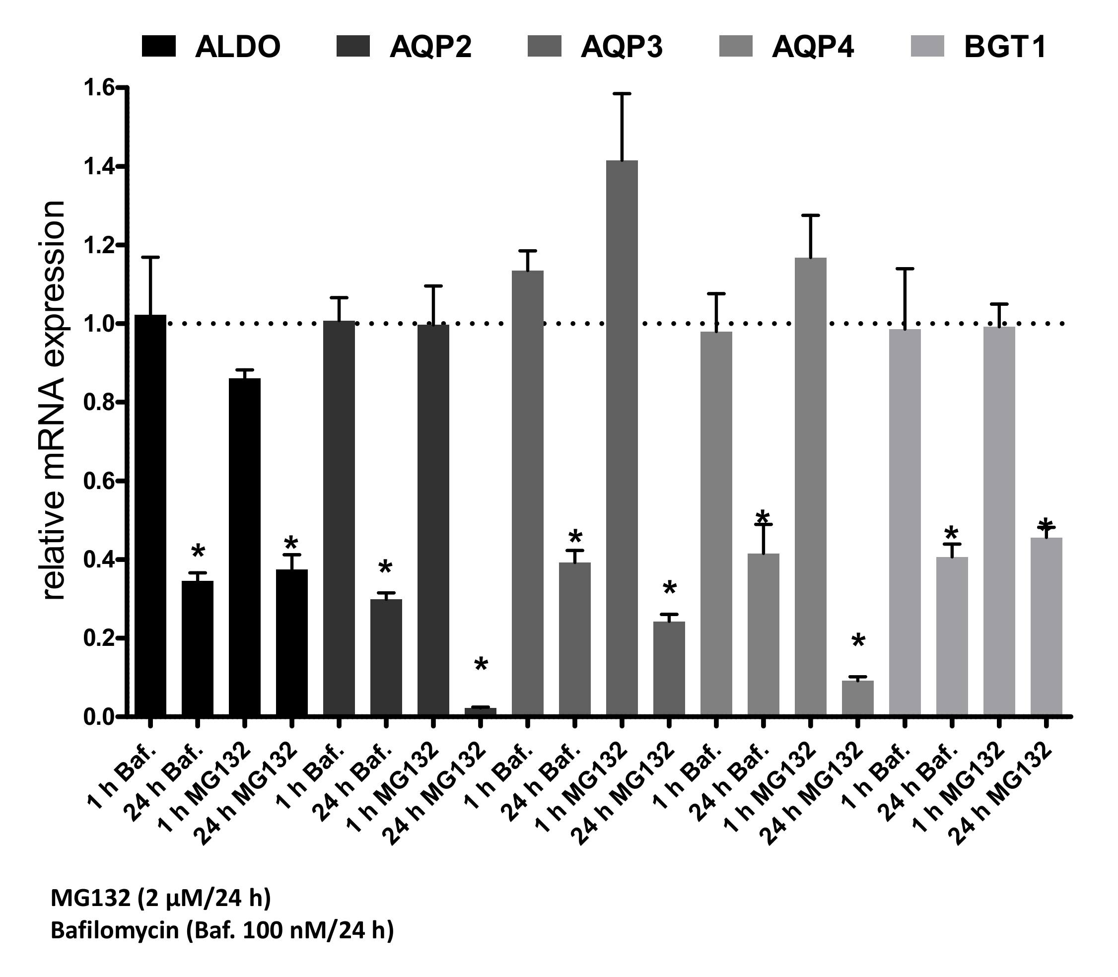 Cells 09 01060 g009 Cells 09 01060 g009