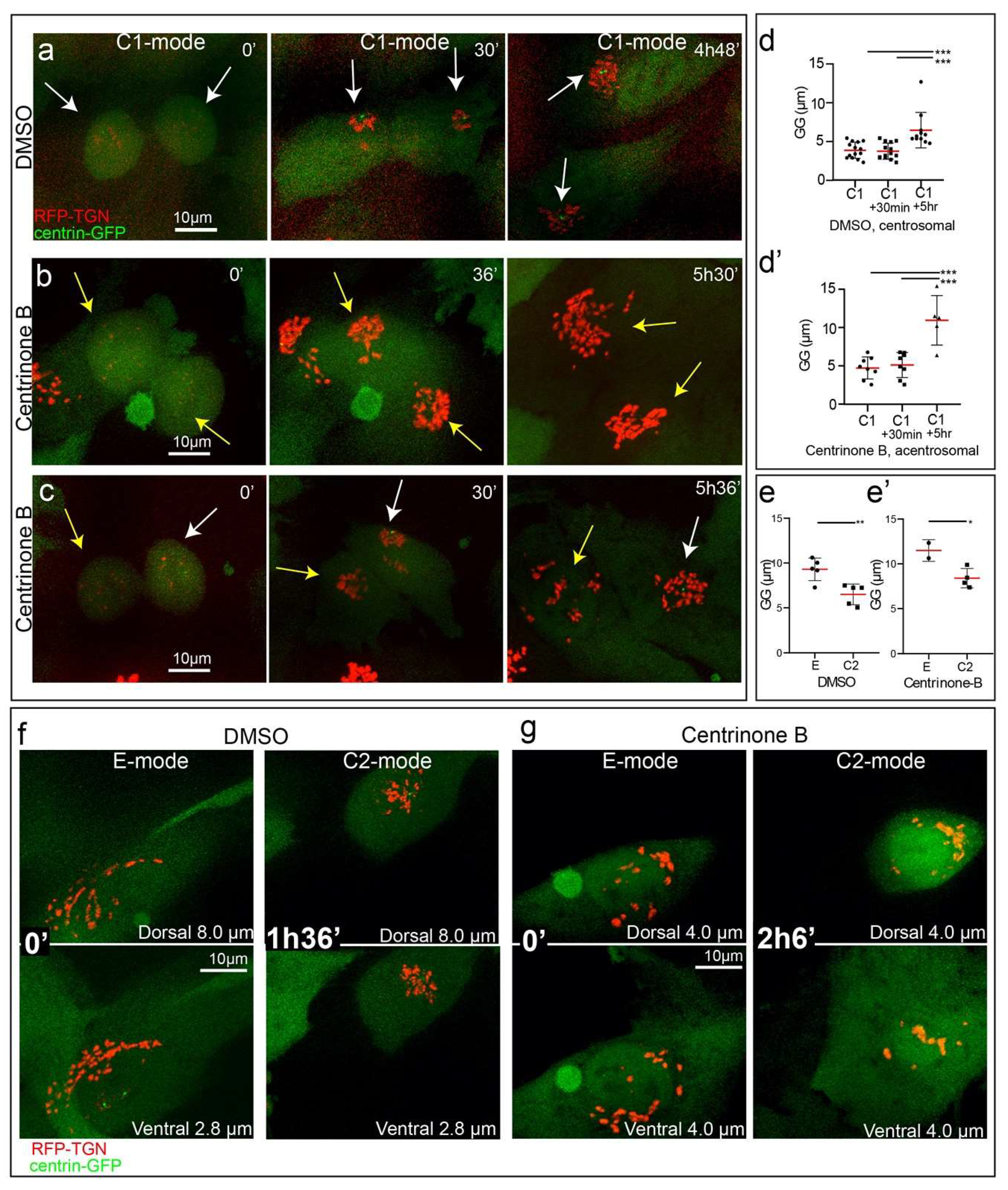 Cells 09 01069 g004 Cells 09 01069 g004
