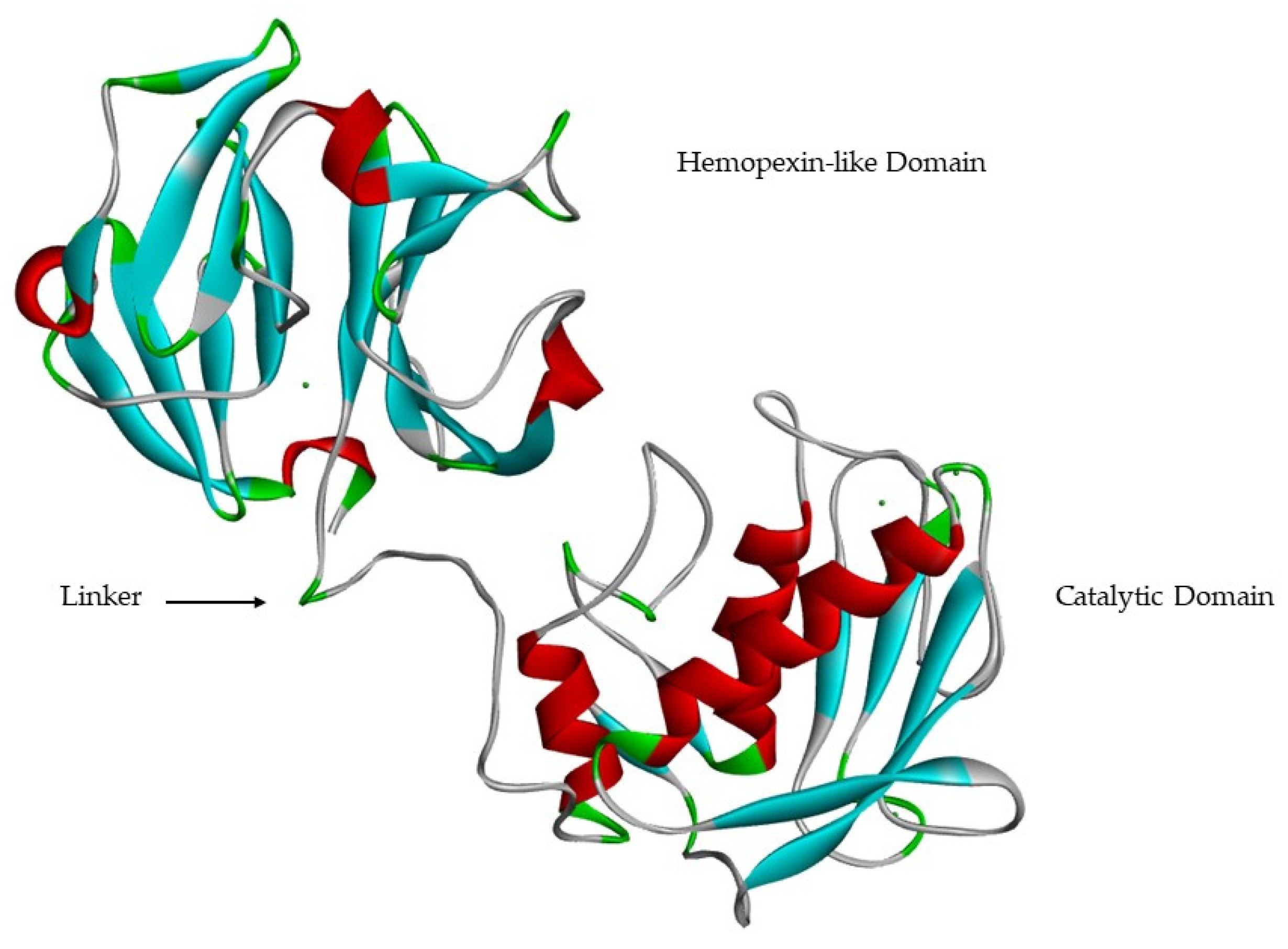 Cells 09 01076 g008 Cells 09 01076 g008