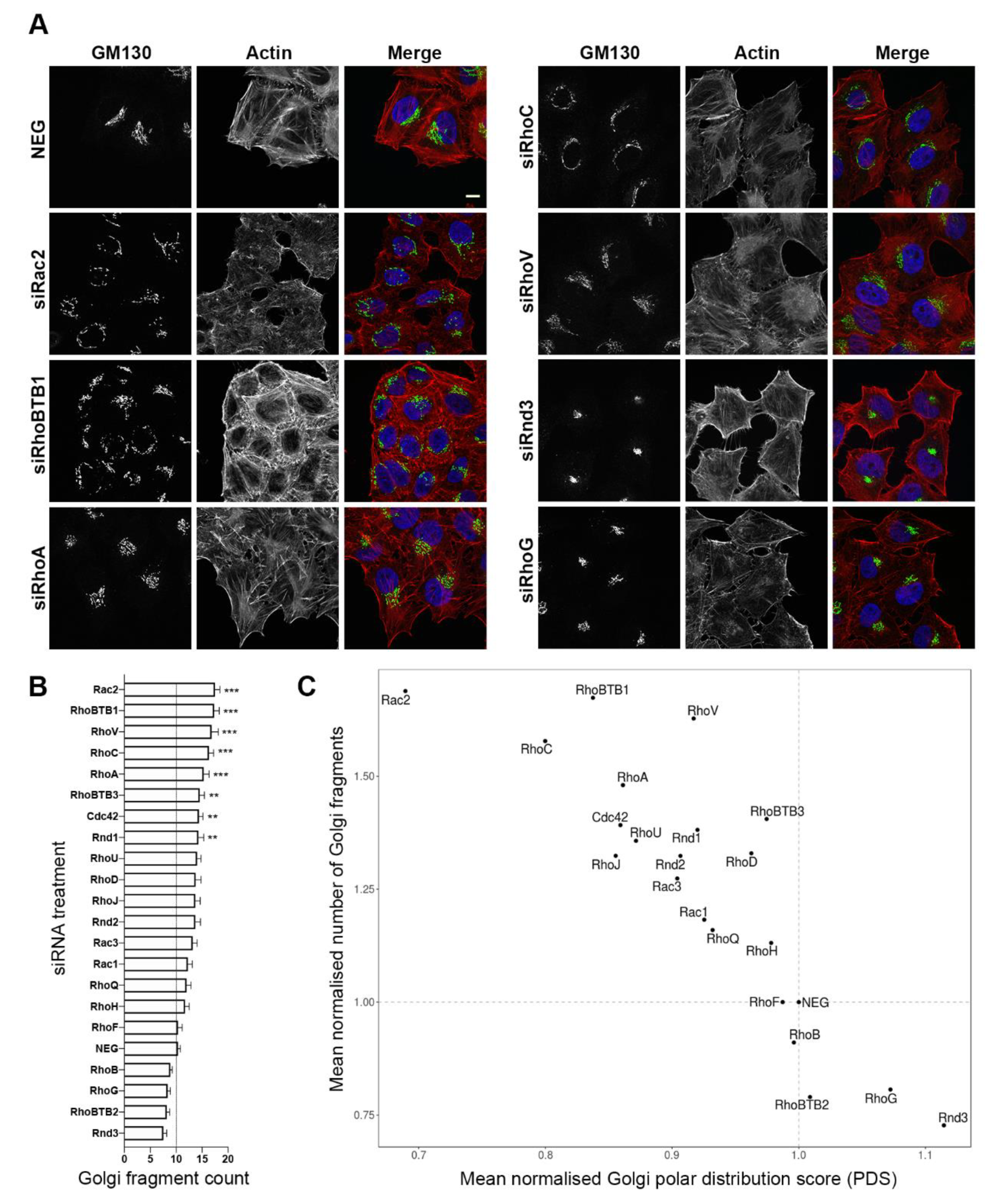 Cells 09 01089 g001 Cells 09 01089 g001
