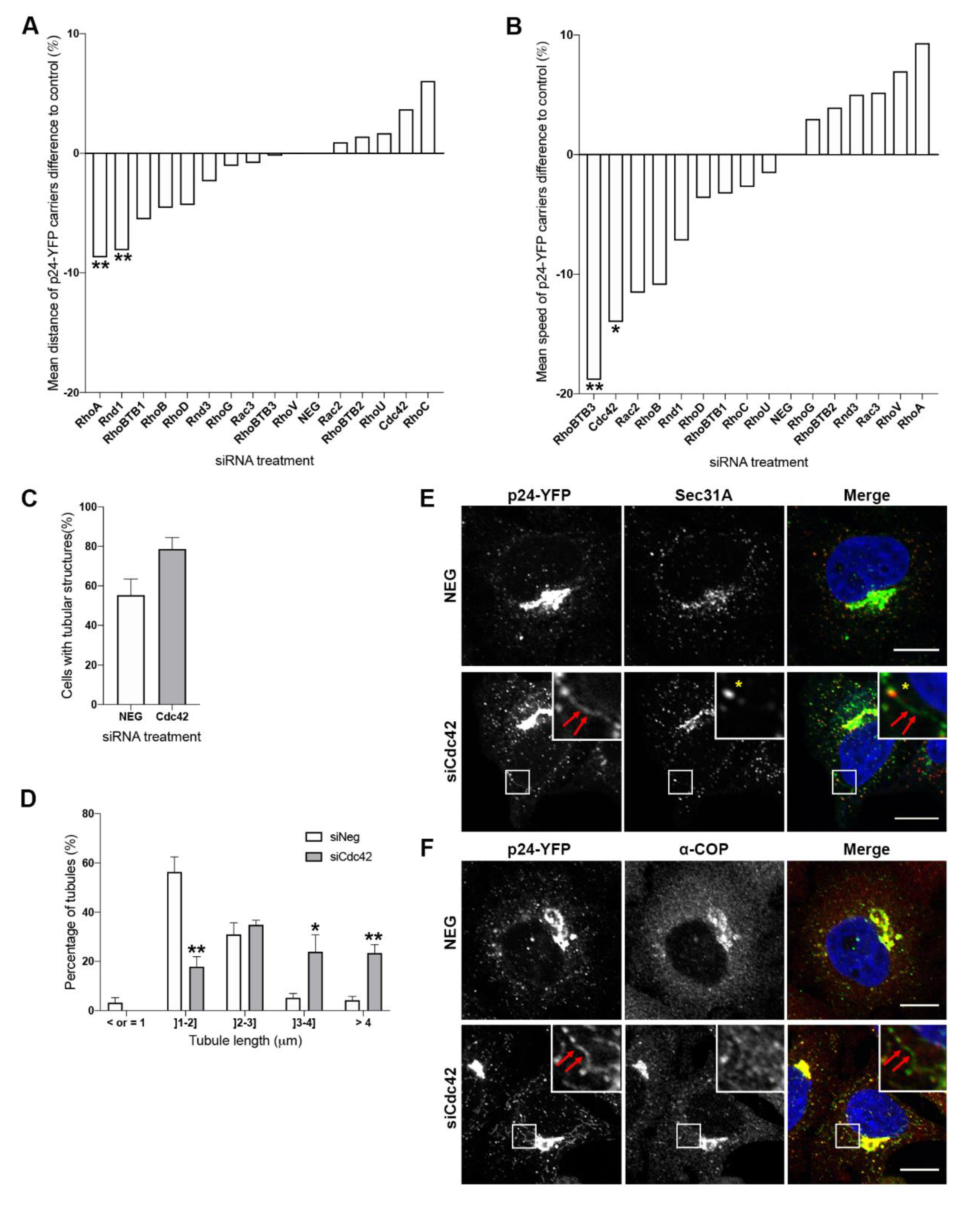 Cells 09 01089 g002 Cells 09 01089 g002