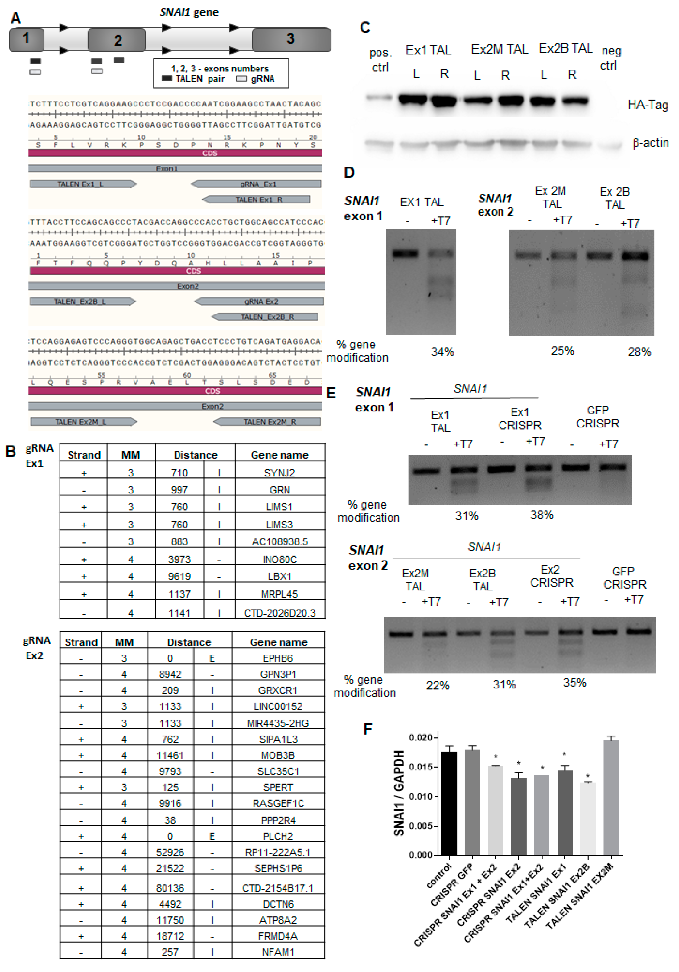 Cells 09 01095 g001 Cells 09 01095 g001