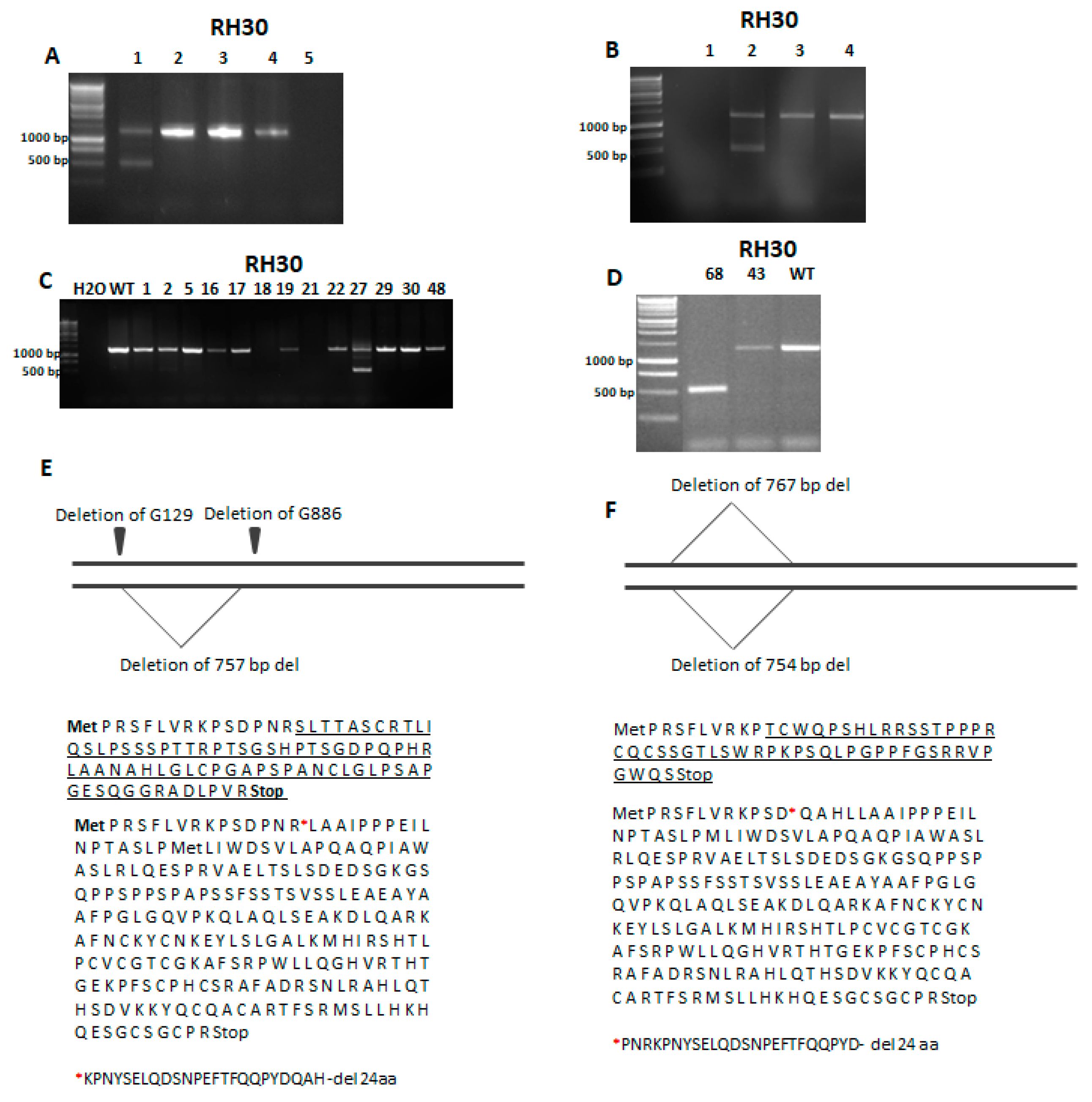 Cells 09 01095 g002 Cells 09 01095 g002