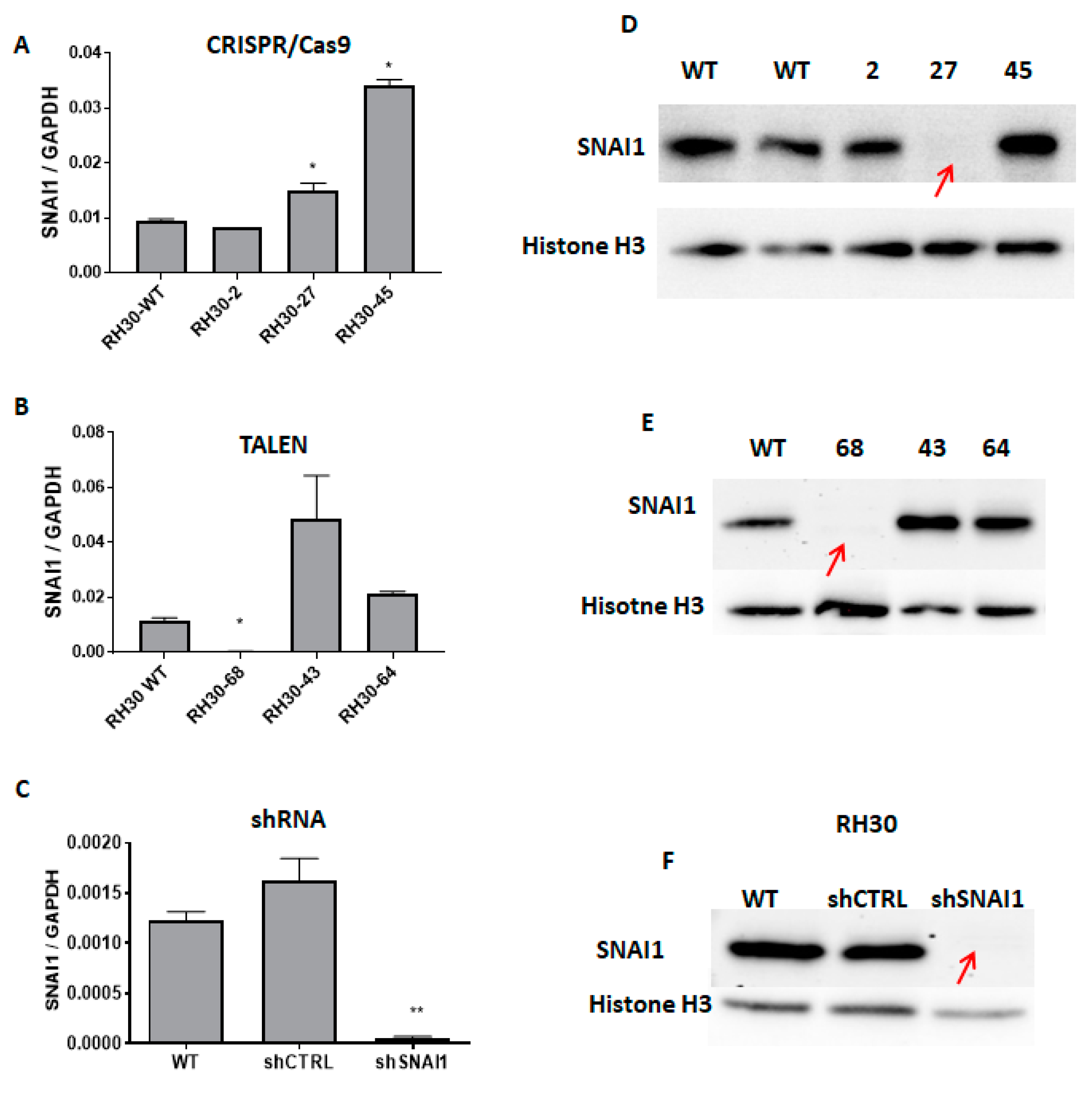 Cells 09 01095 g003 Cells 09 01095 g003
