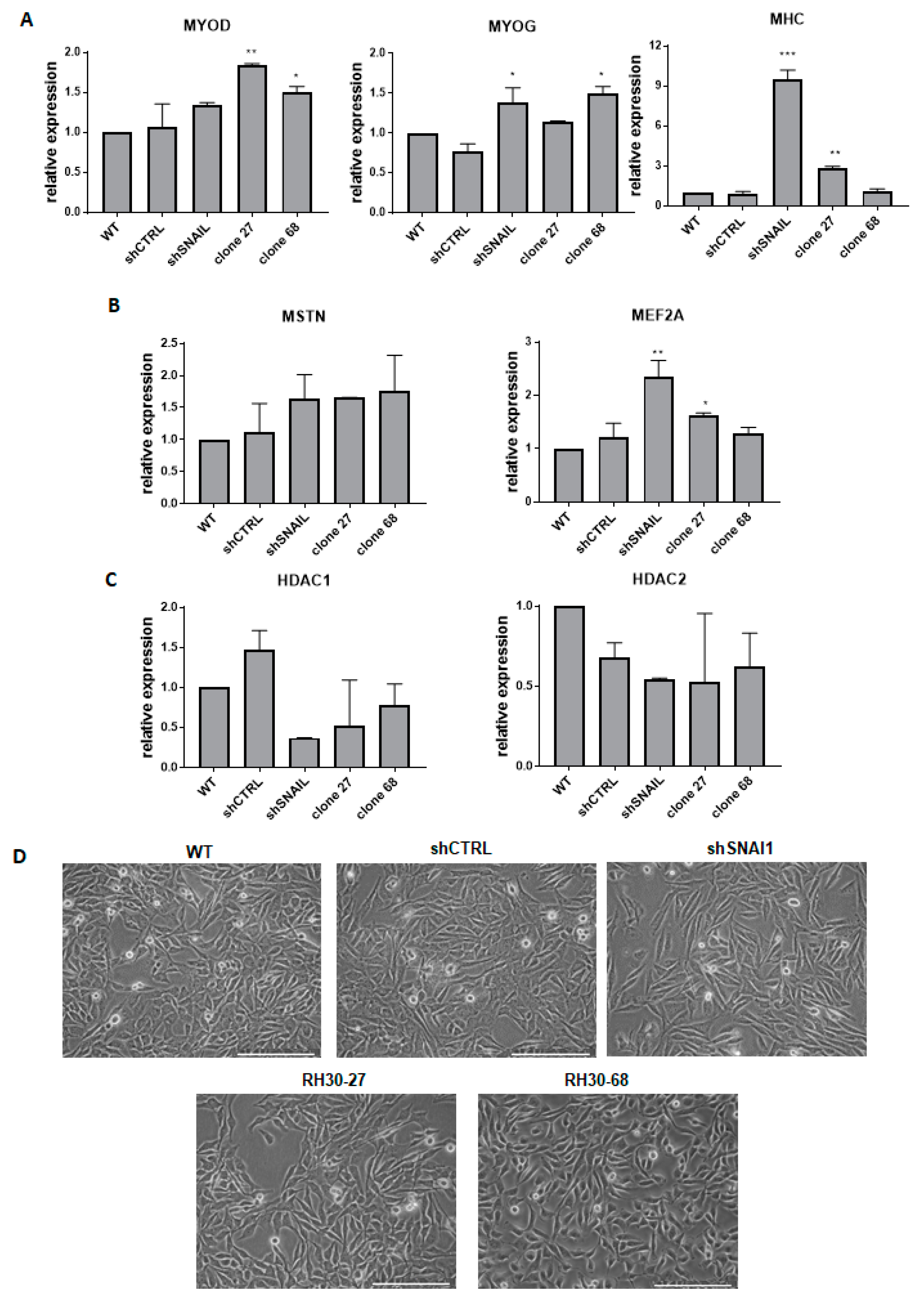 Cells 09 01095 g004 Cells 09 01095 g004