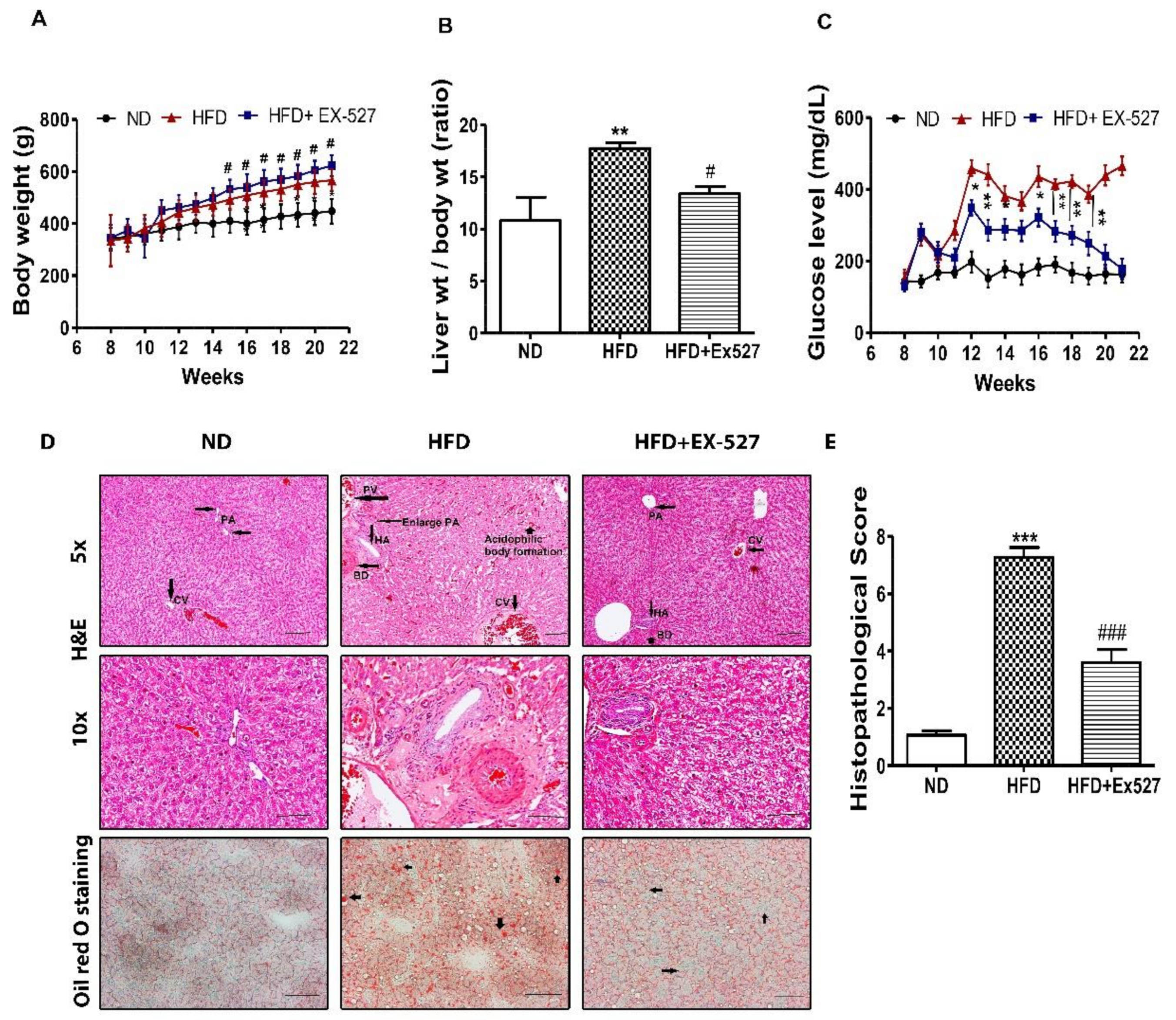 Cells 09 01101 g003 Cells 09 01101 g003