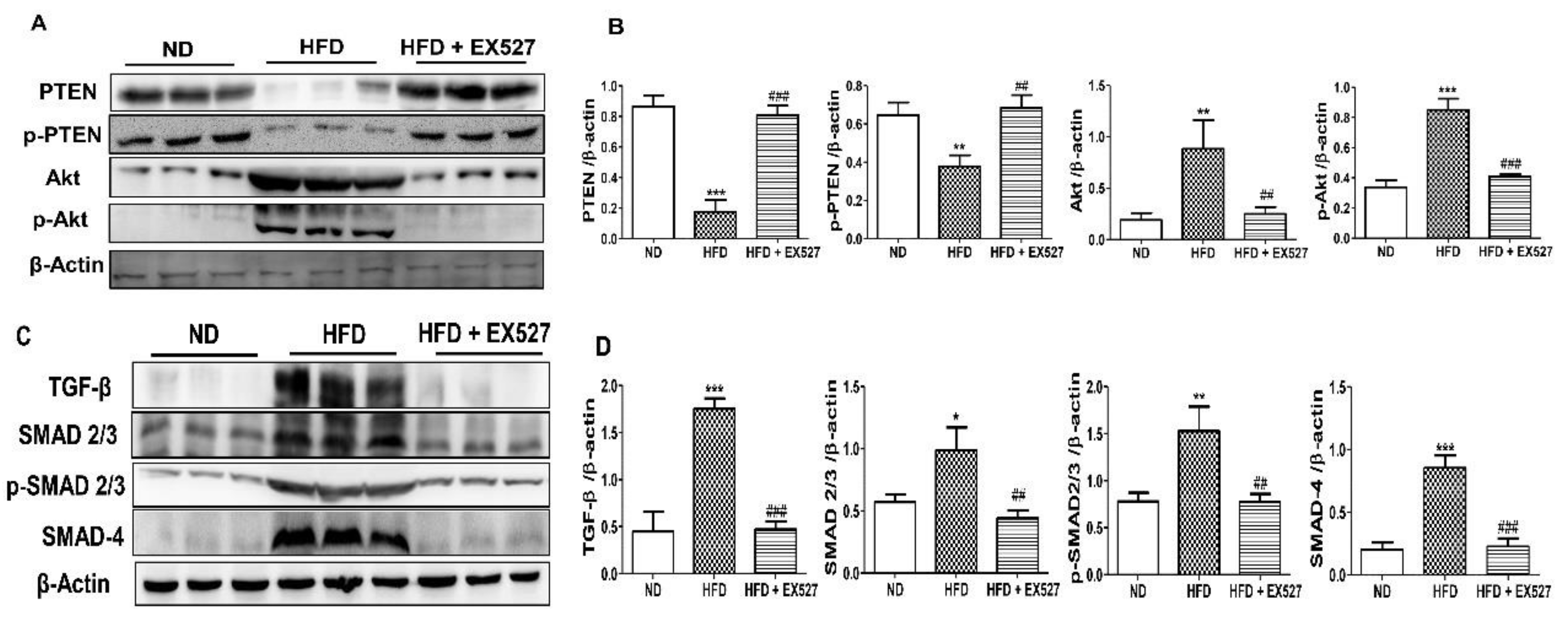 Cells 09 01101 g009a Cells 09 01101 g009a