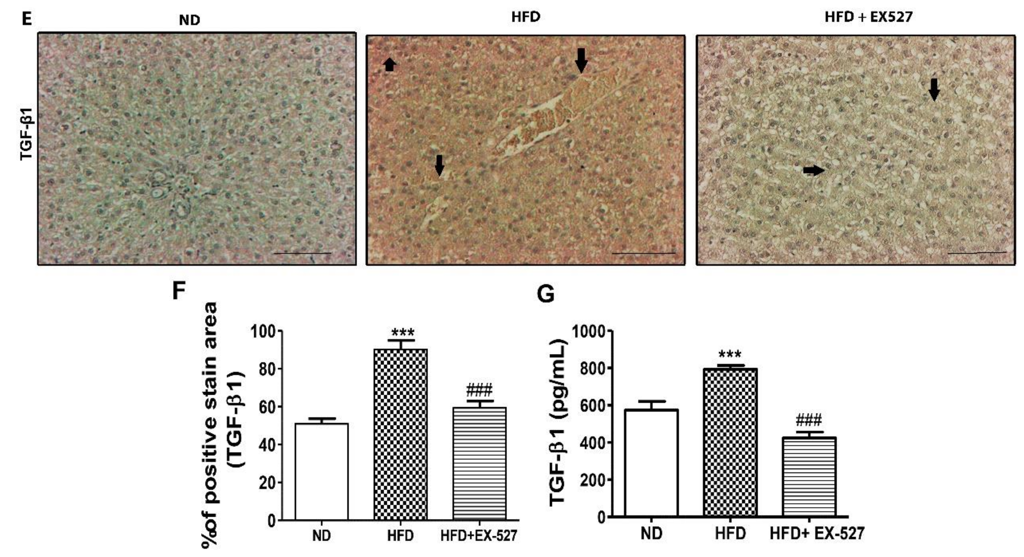 Cells 09 01101 g009b Cells 09 01101 g009b