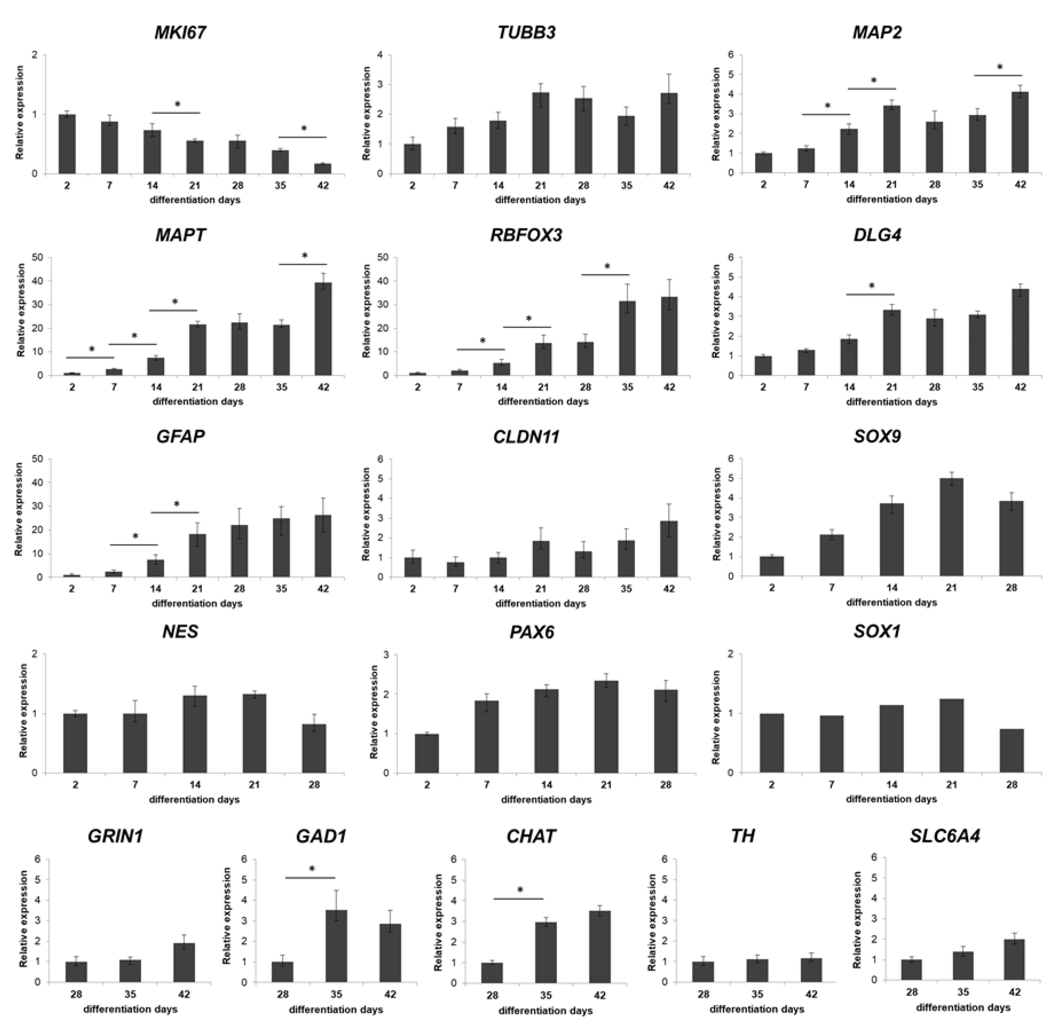 Cells 09 01122 g003 Cells 09 01122 g003