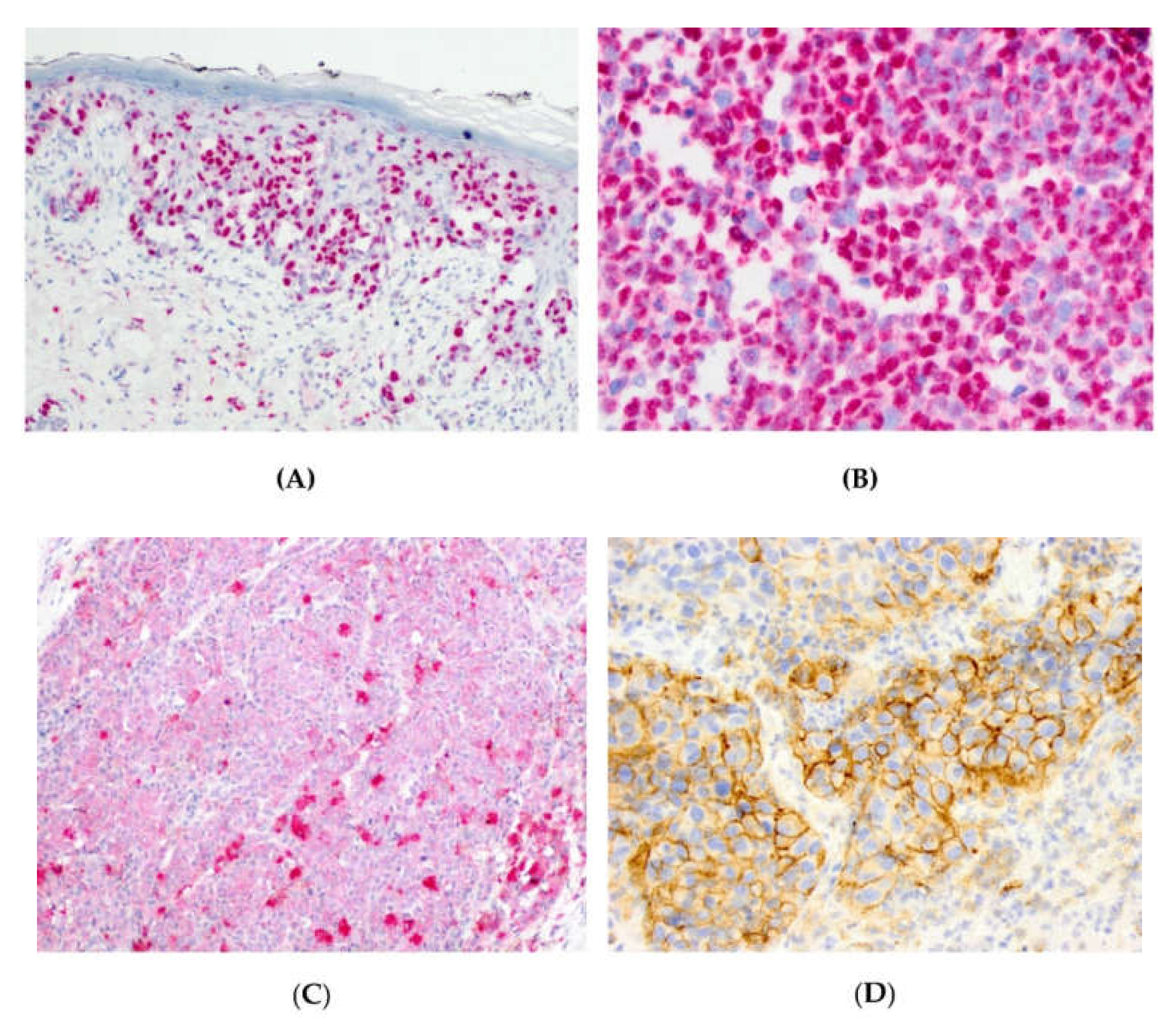 Cells 09 01135 g002 Cells 09 01135 g002