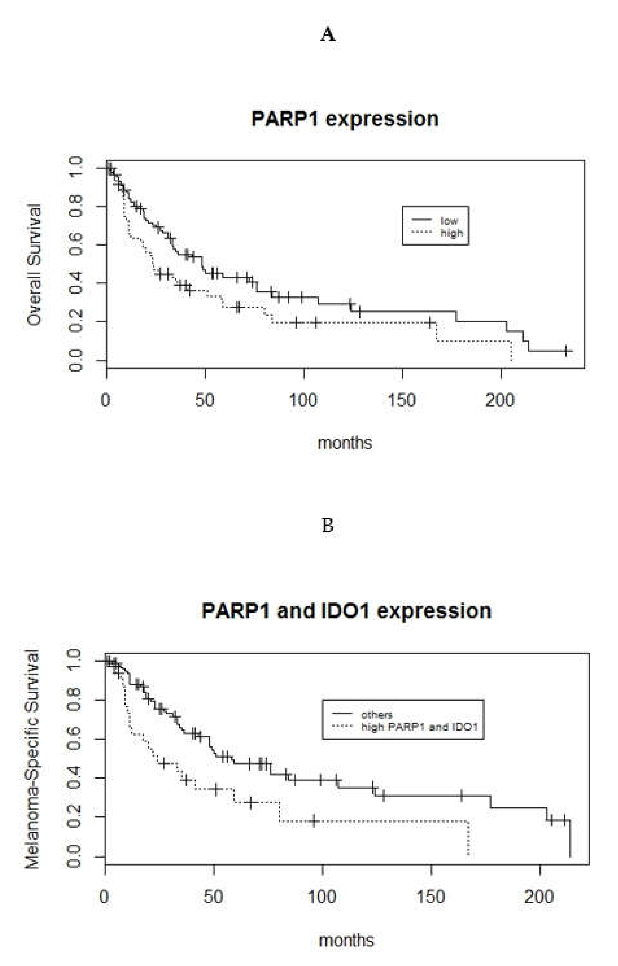 Cells 09 01135 g004 Cells 09 01135 g004