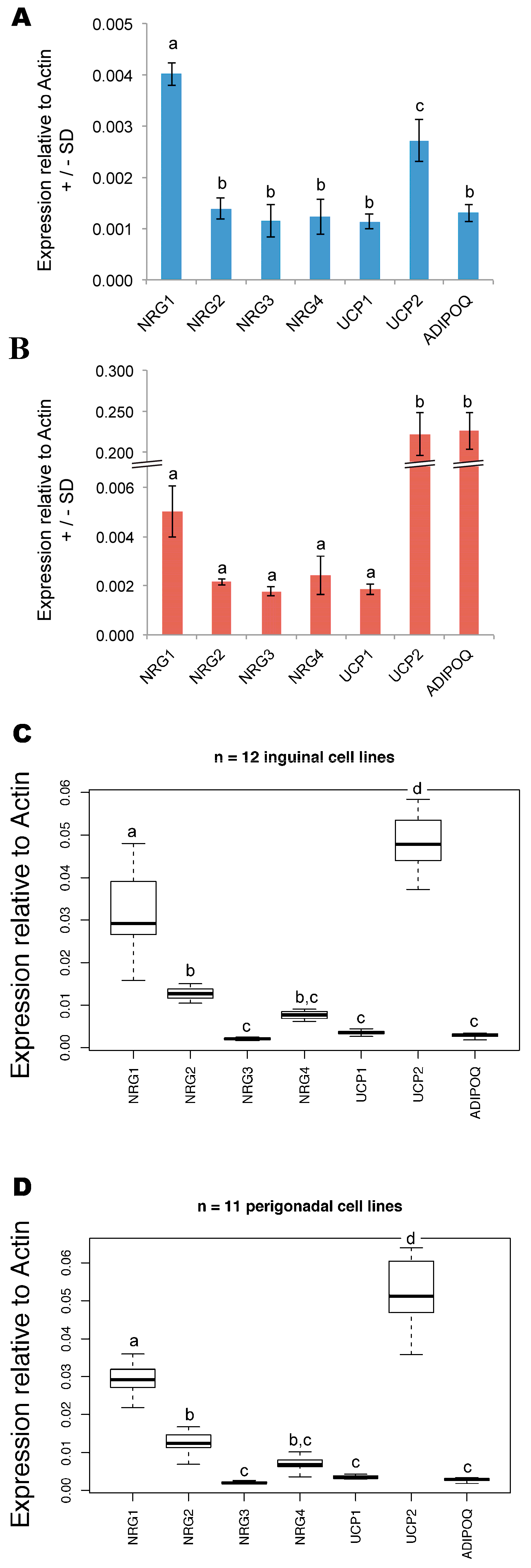 Cells 09 01148 g001 Cells 09 01148 g001
