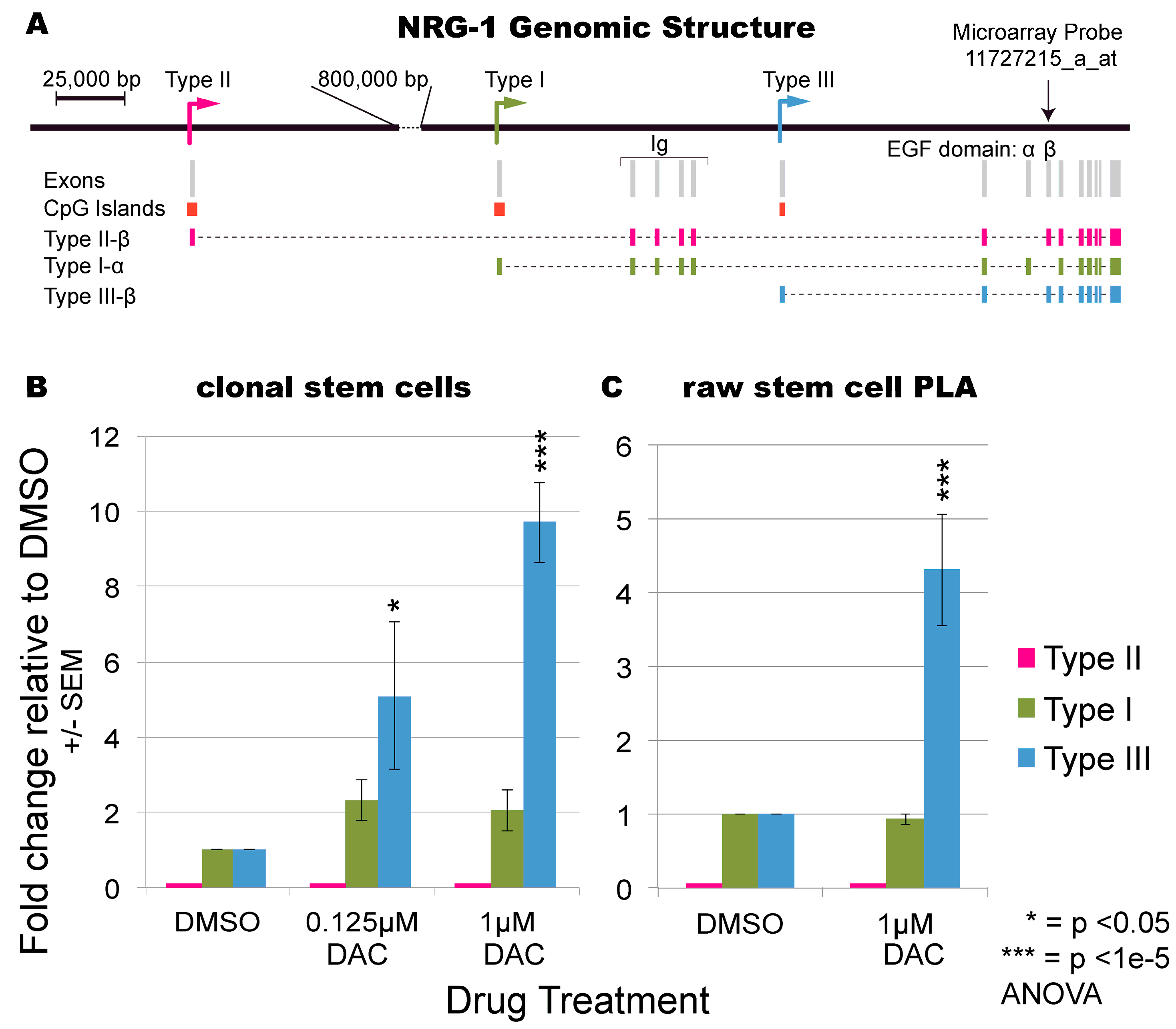Cells 09 01148 g002 Cells 09 01148 g002