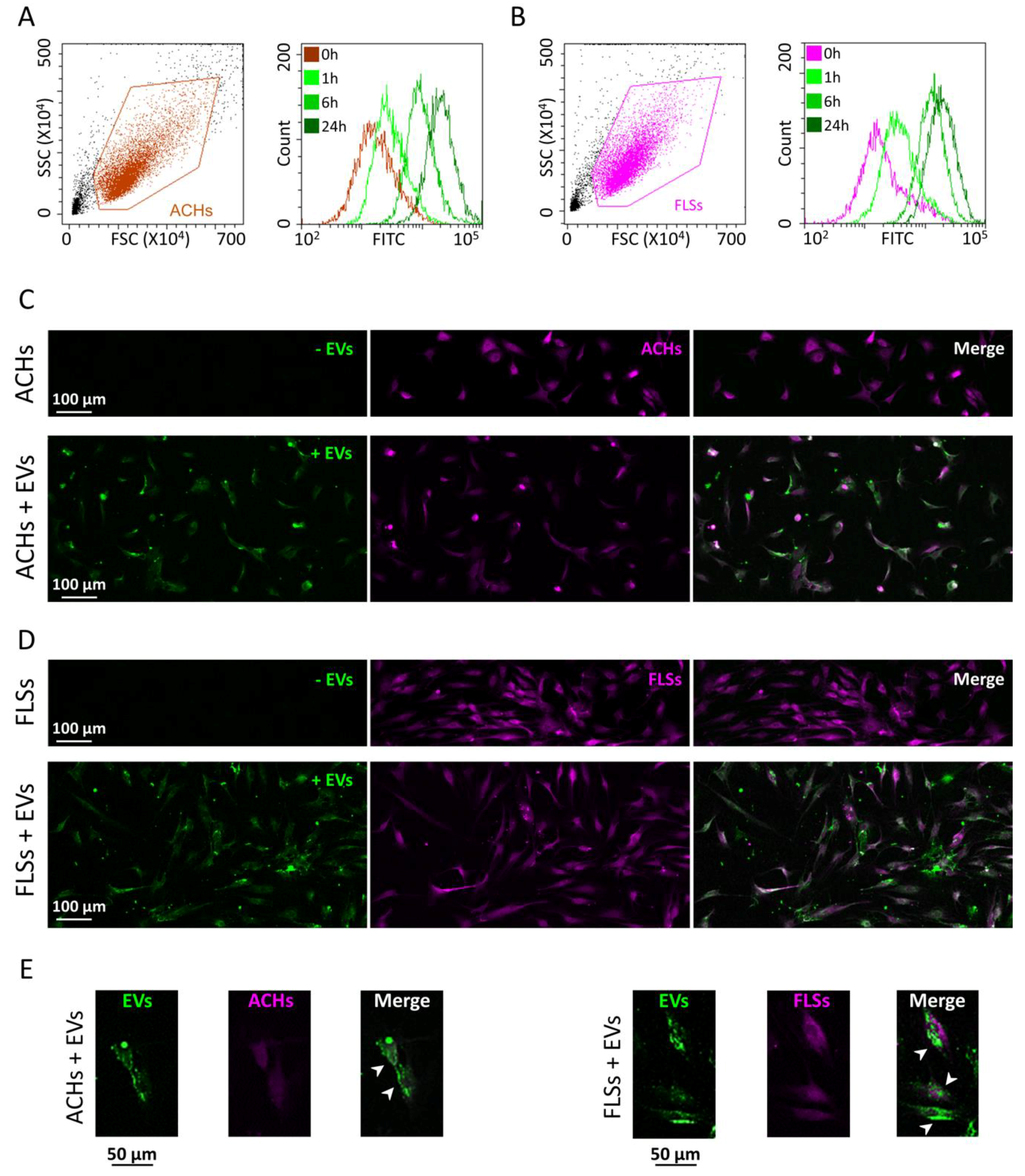 Cells 09 01180 g003 Cells 09 01180 g003