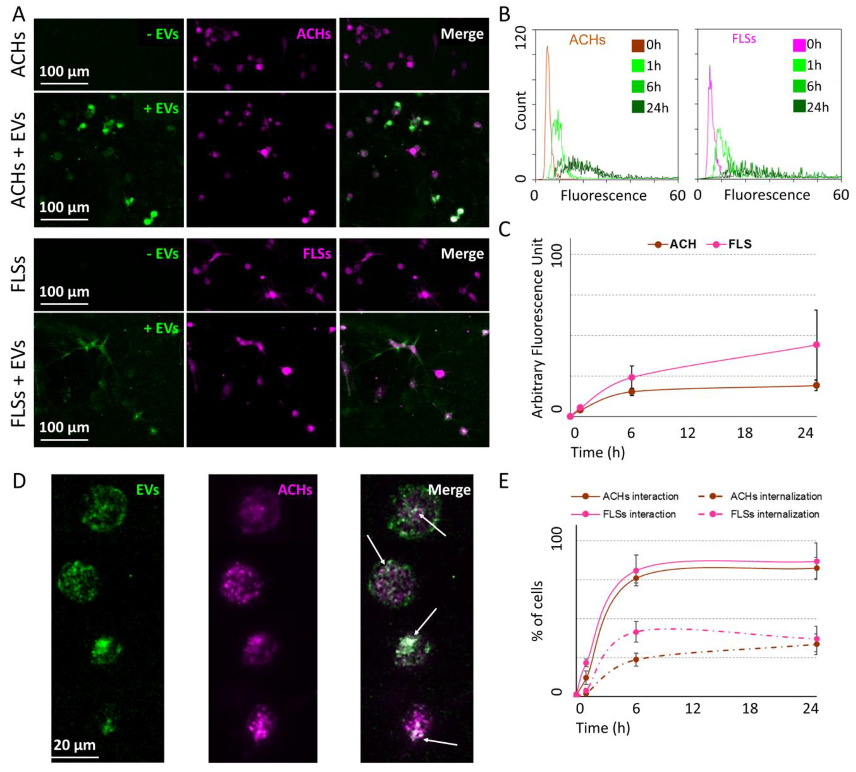 Cells 09 01180 g005 Cells 09 01180 g005