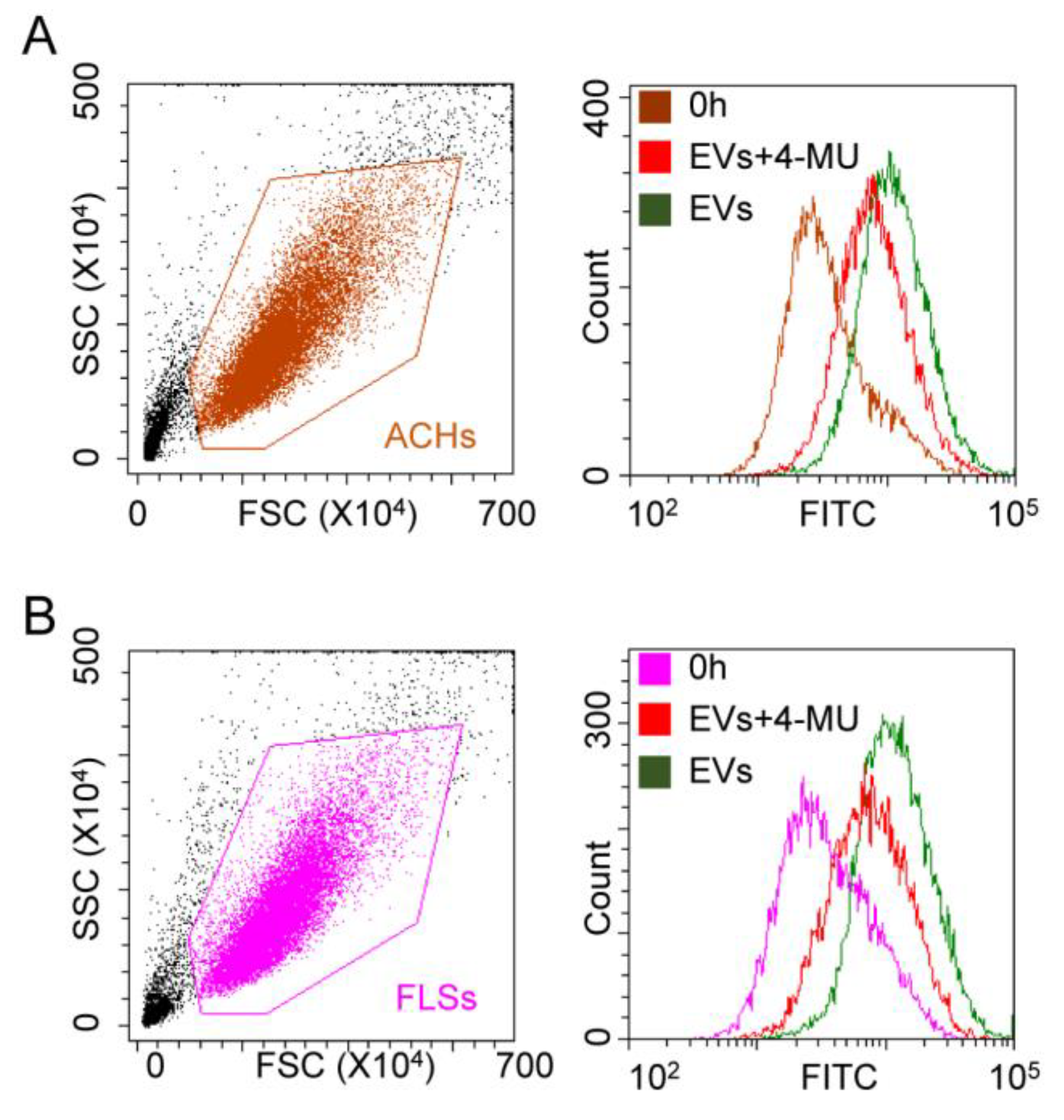 Cells 09 01180 g006 Cells 09 01180 g006