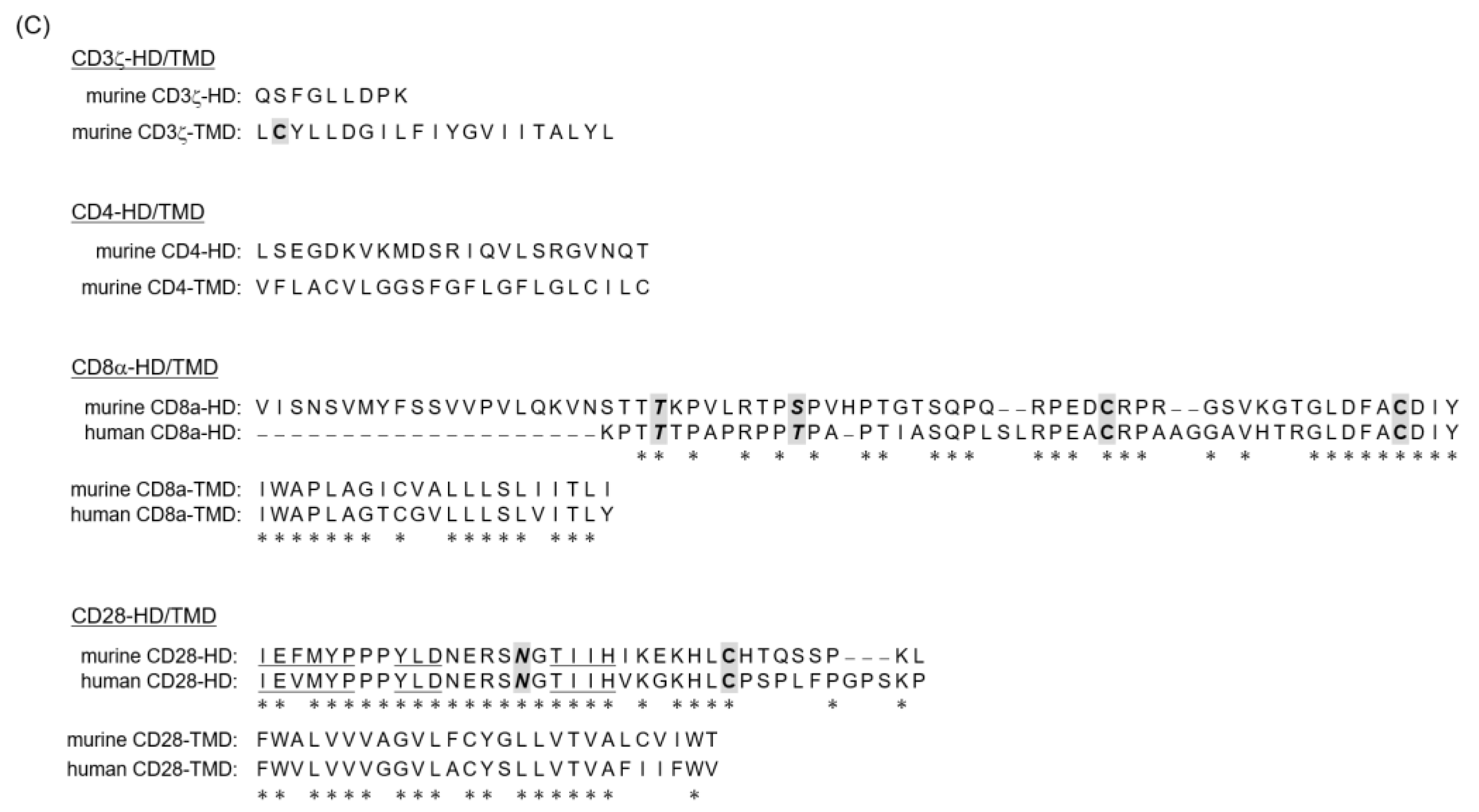 Cells 09 01182 g001b