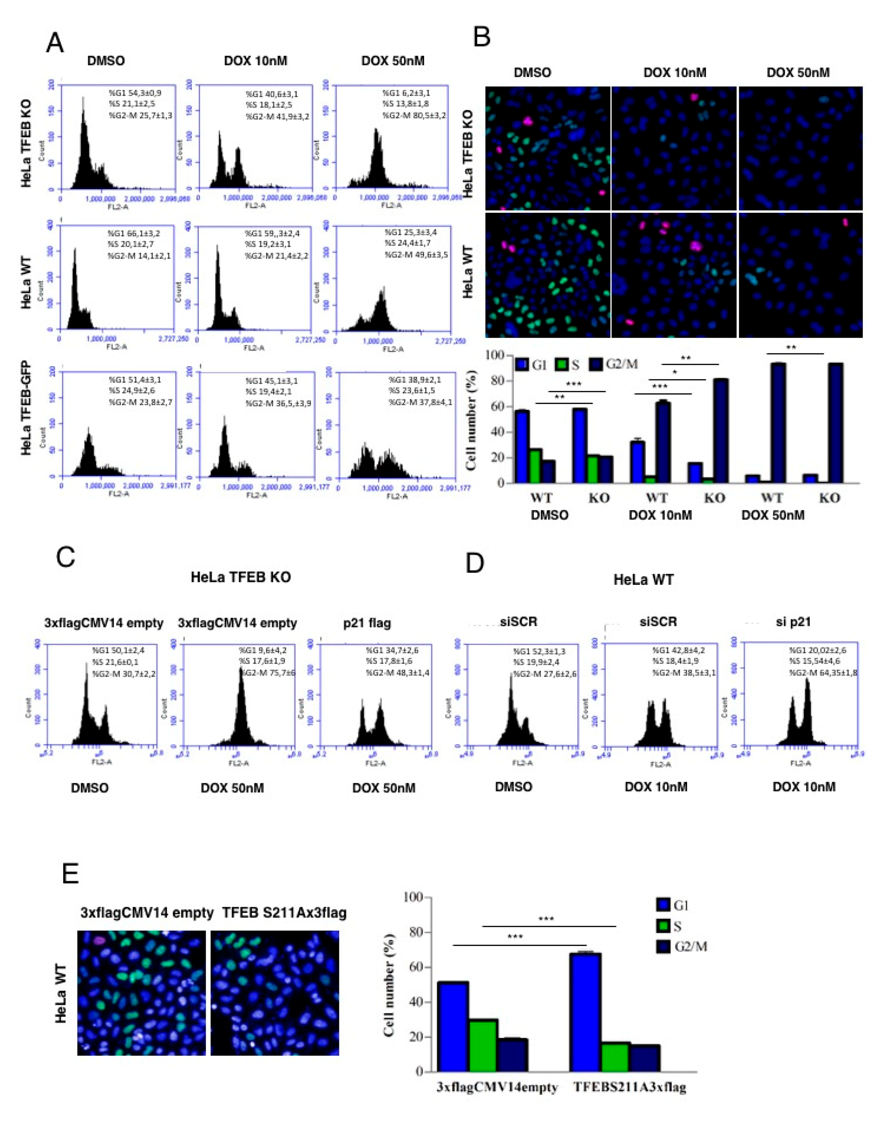 Cells 09 01186 g004 Cells 09 01186 g004