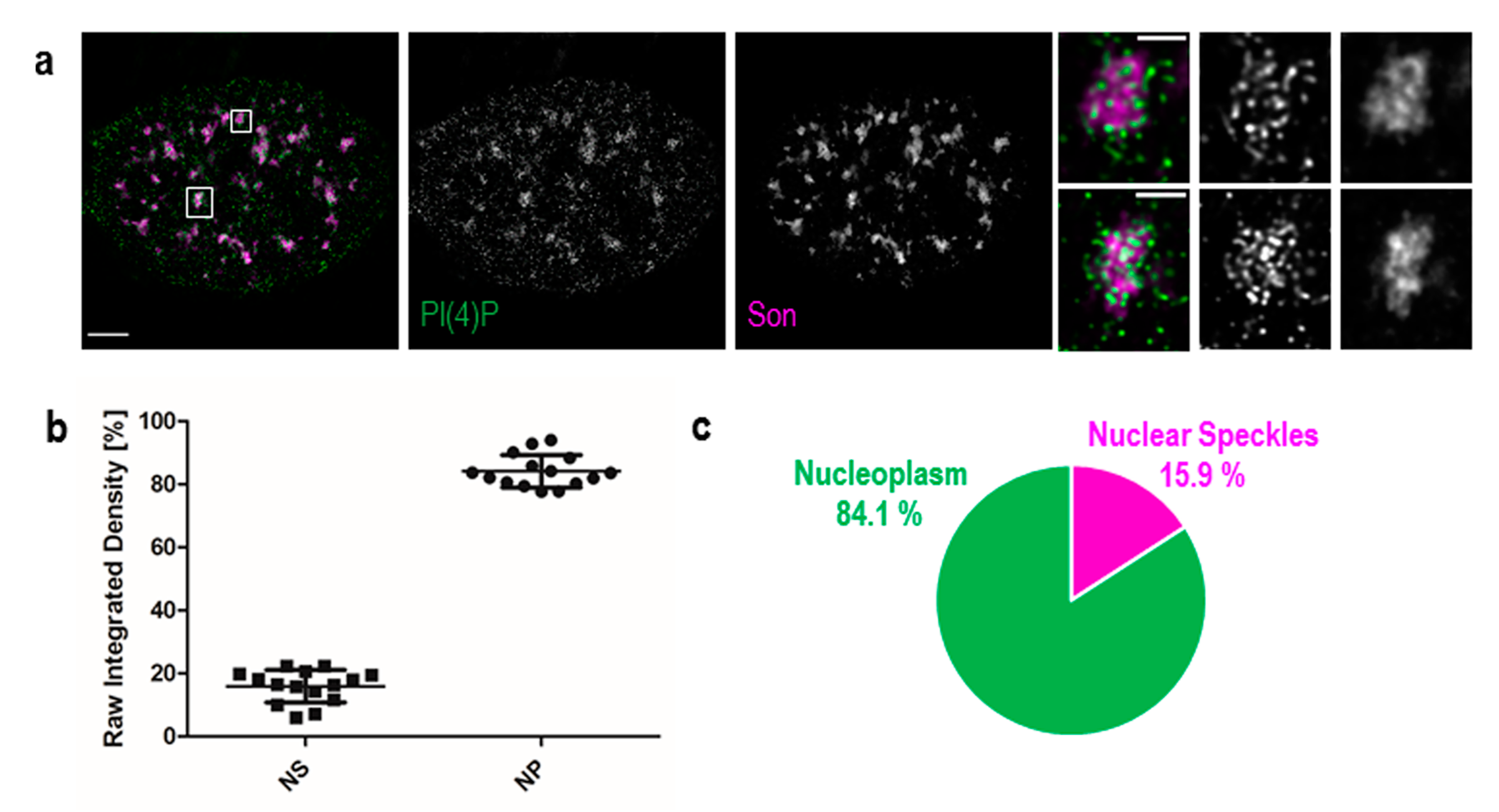 Cells 09 01191 g002 Cells 09 01191 g002