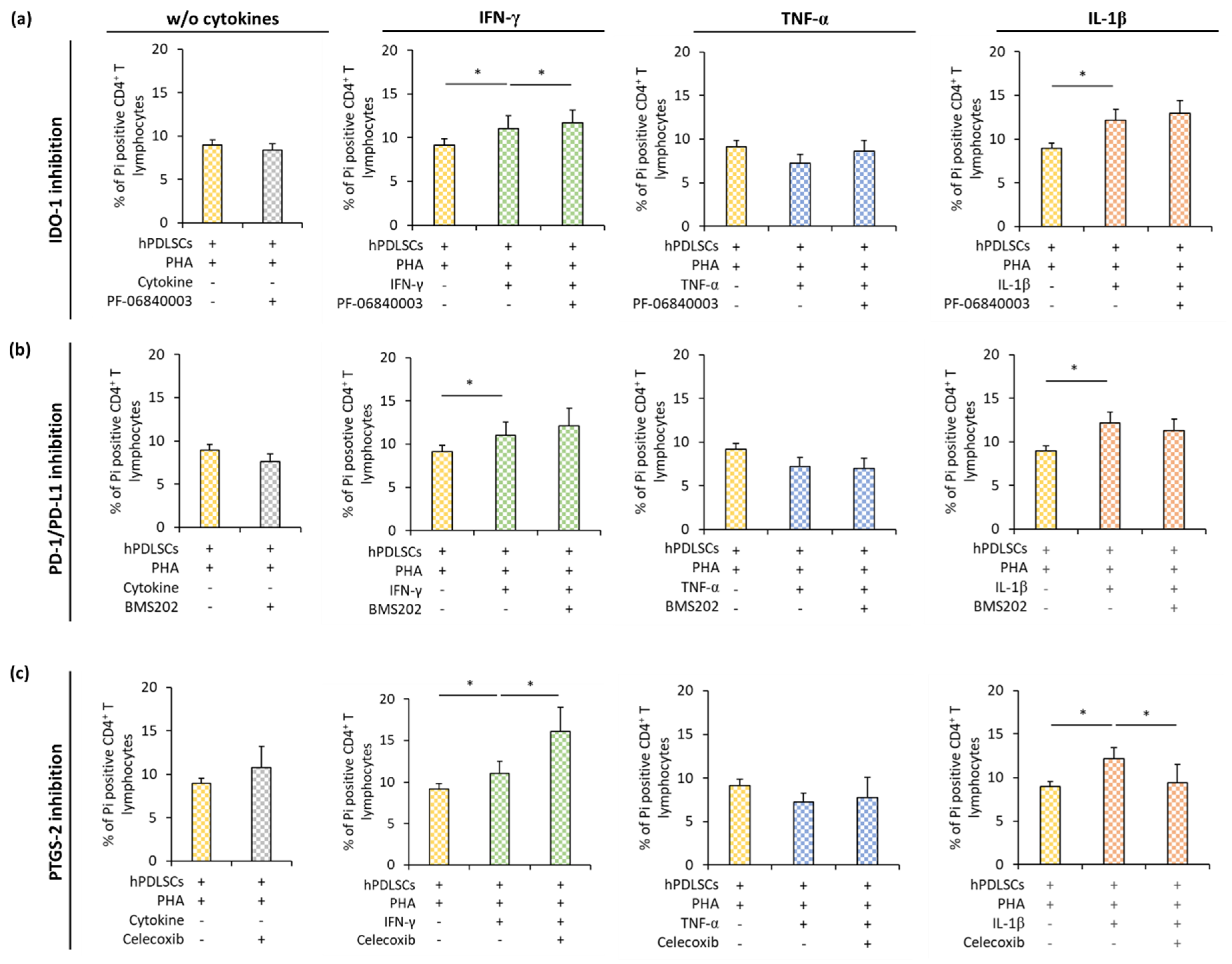 Cells 09 01222 g006 Cells 09 01222 g006