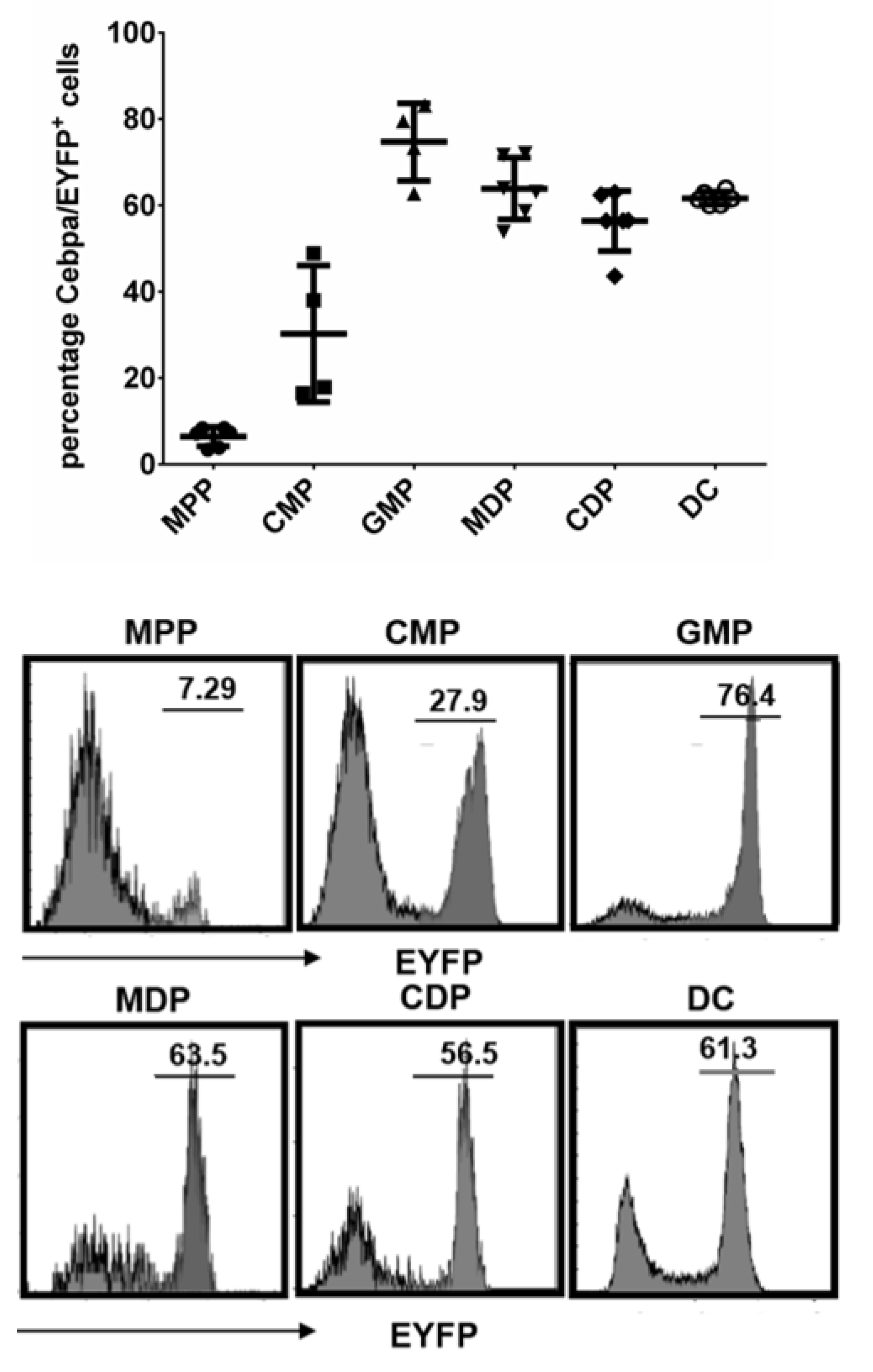 Cells 09 01223 g001 Cells 09 01223 g001