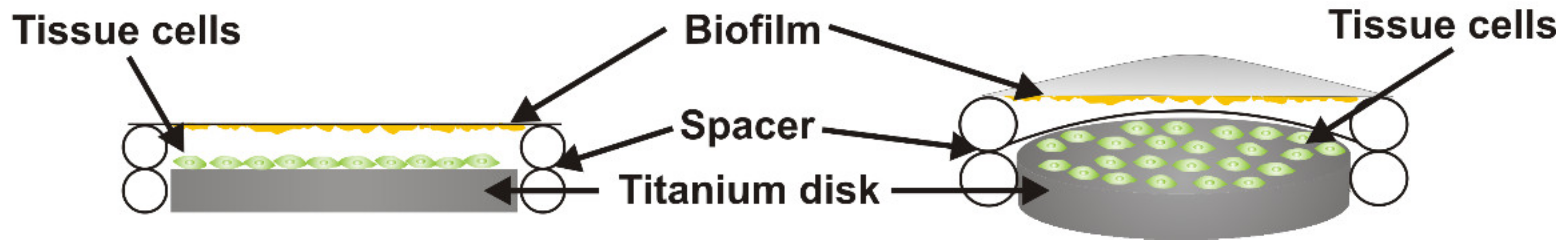 Cells 09 01226 g001 Cells 09 01226 g001