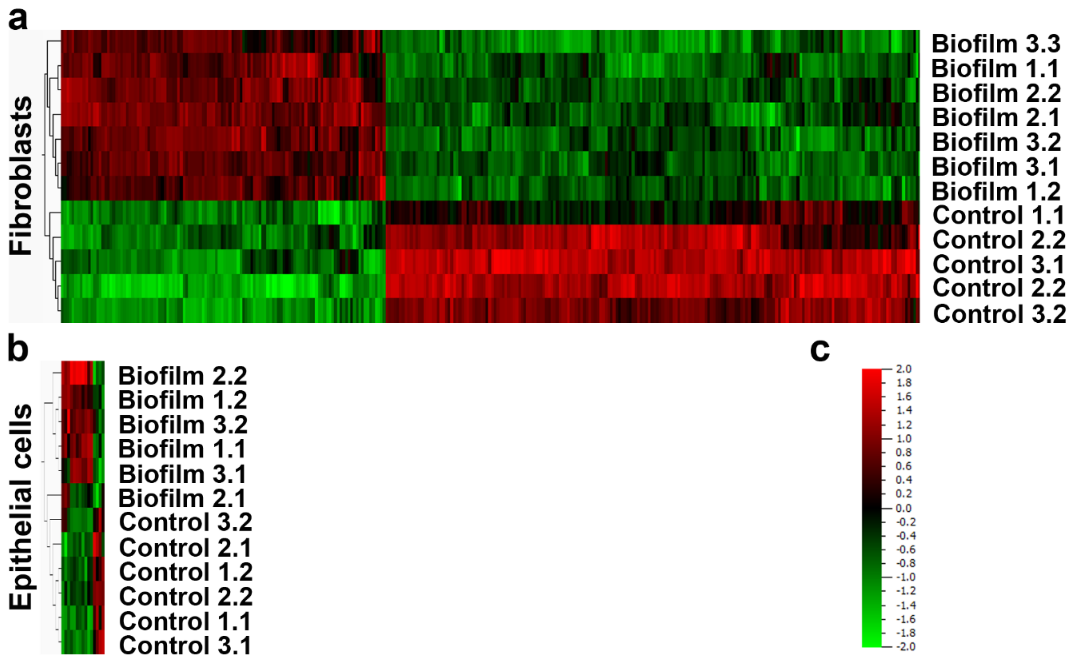 Cells 09 01226 g004 Cells 09 01226 g004