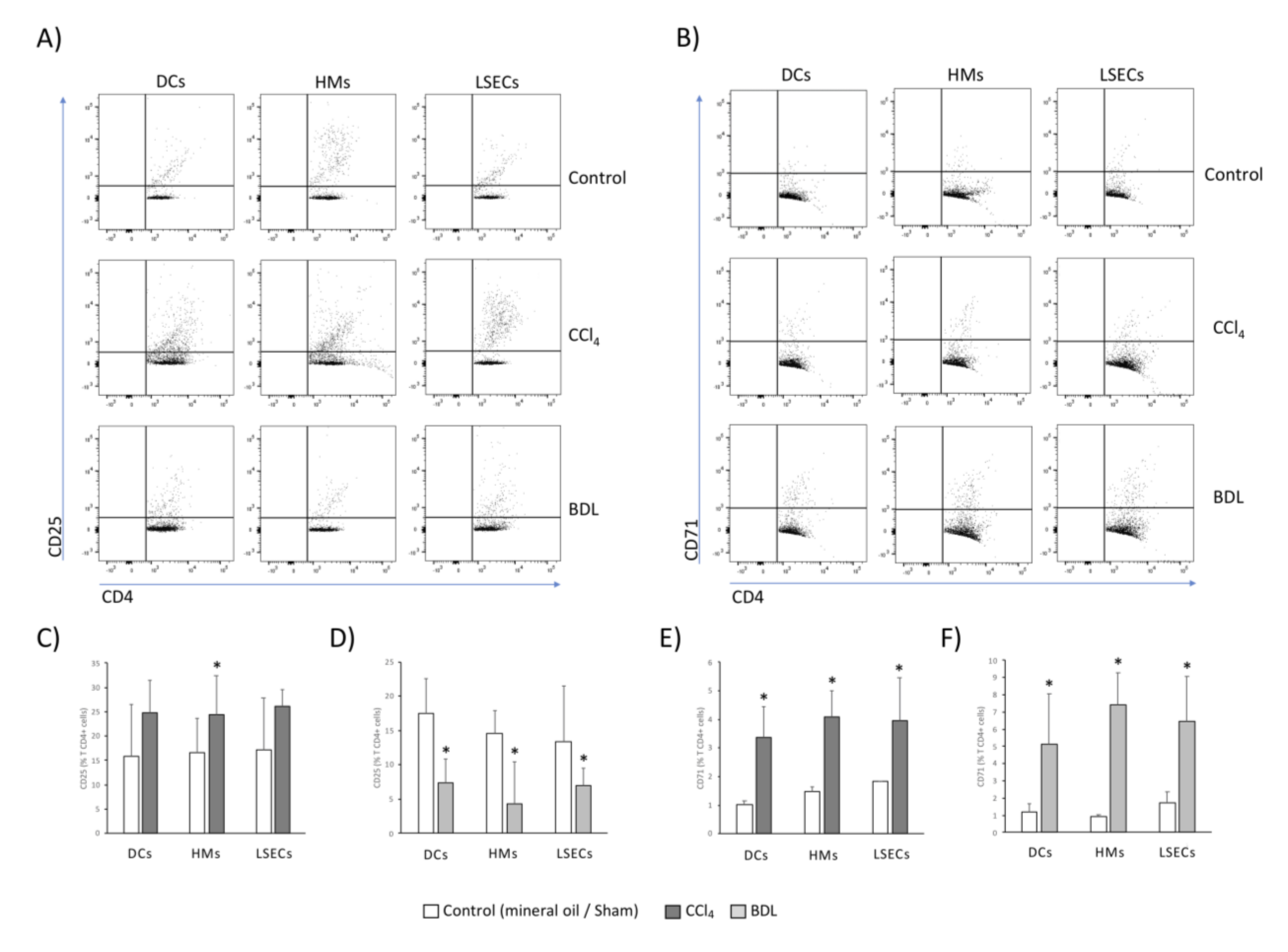 Cells 09 01227 g005 Cells 09 01227 g005