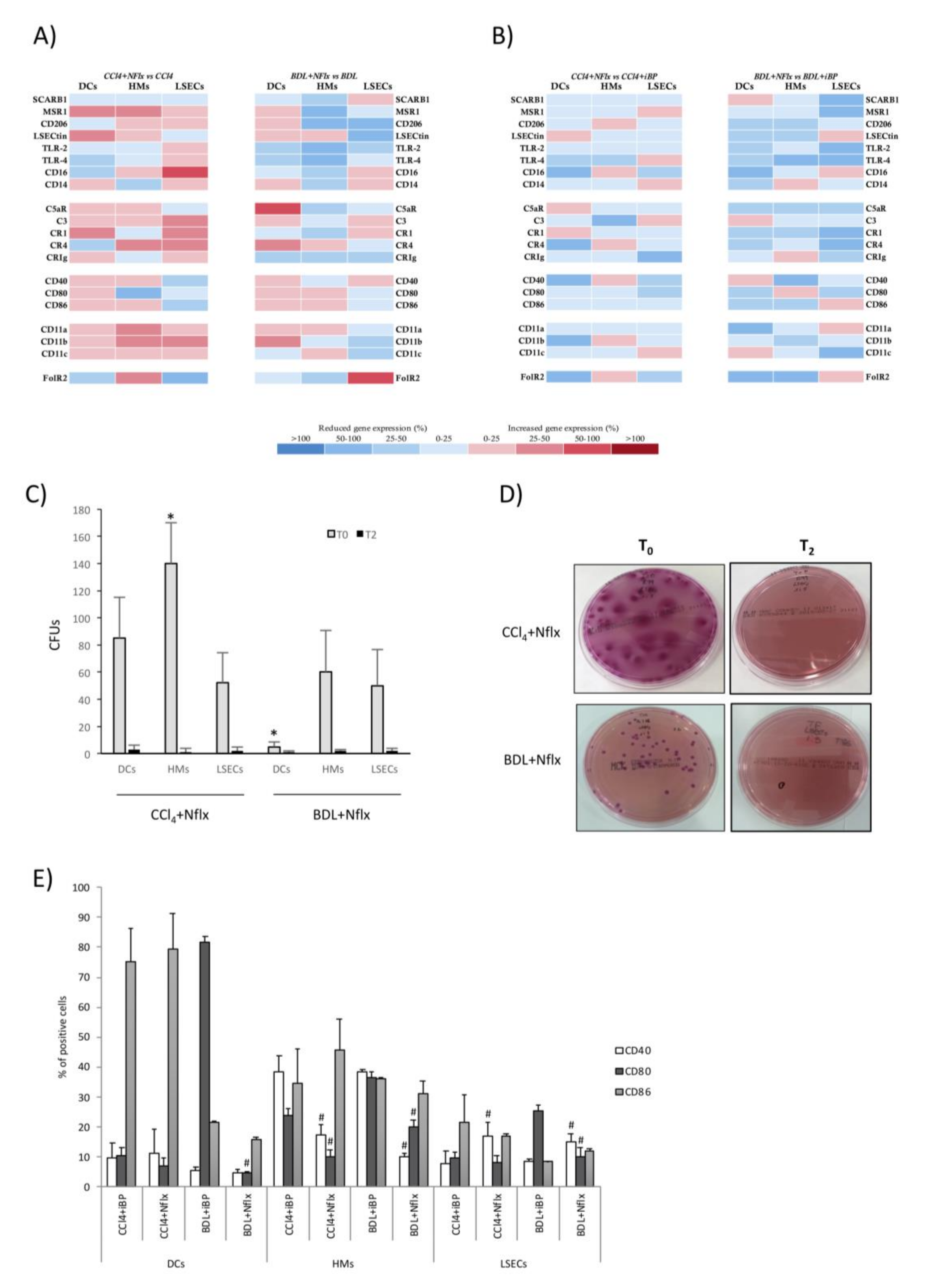 Cells 09 01227 g007 Cells 09 01227 g007
