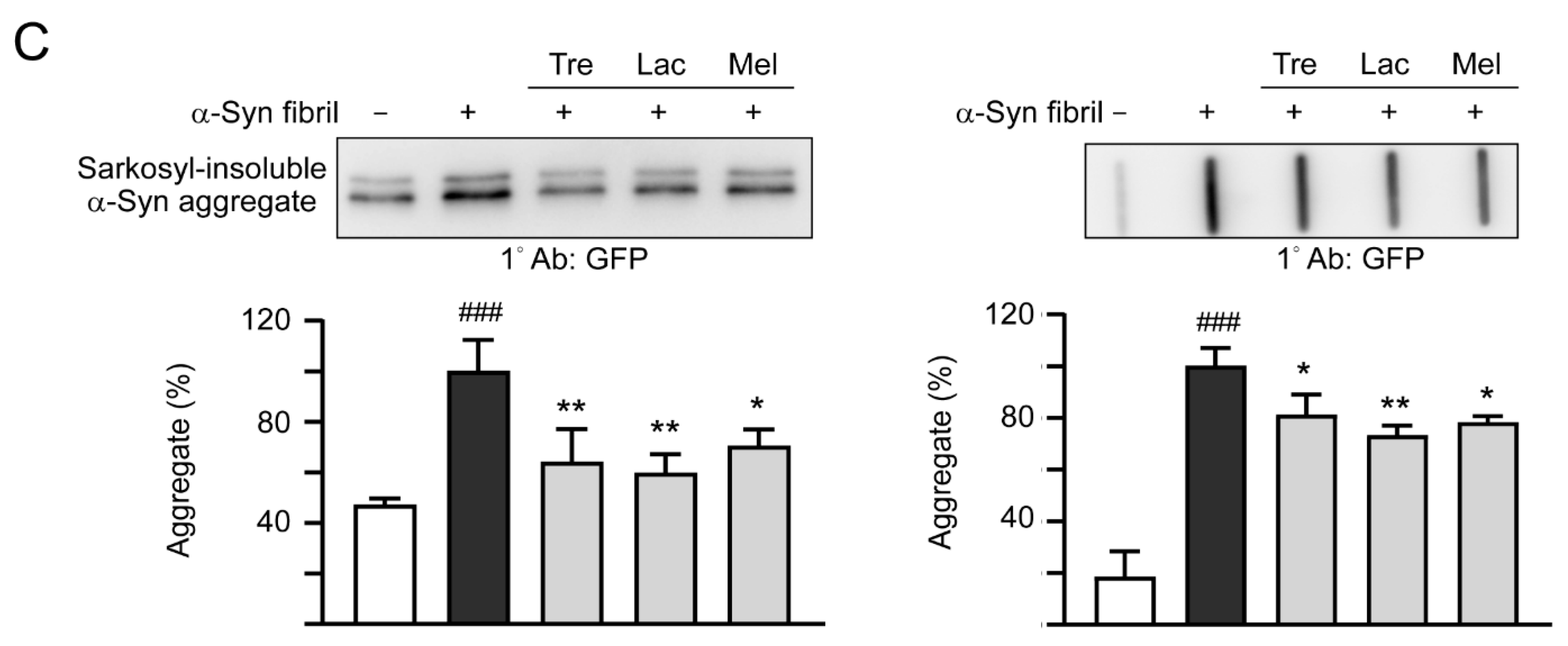 Cells 09 01230 g005b