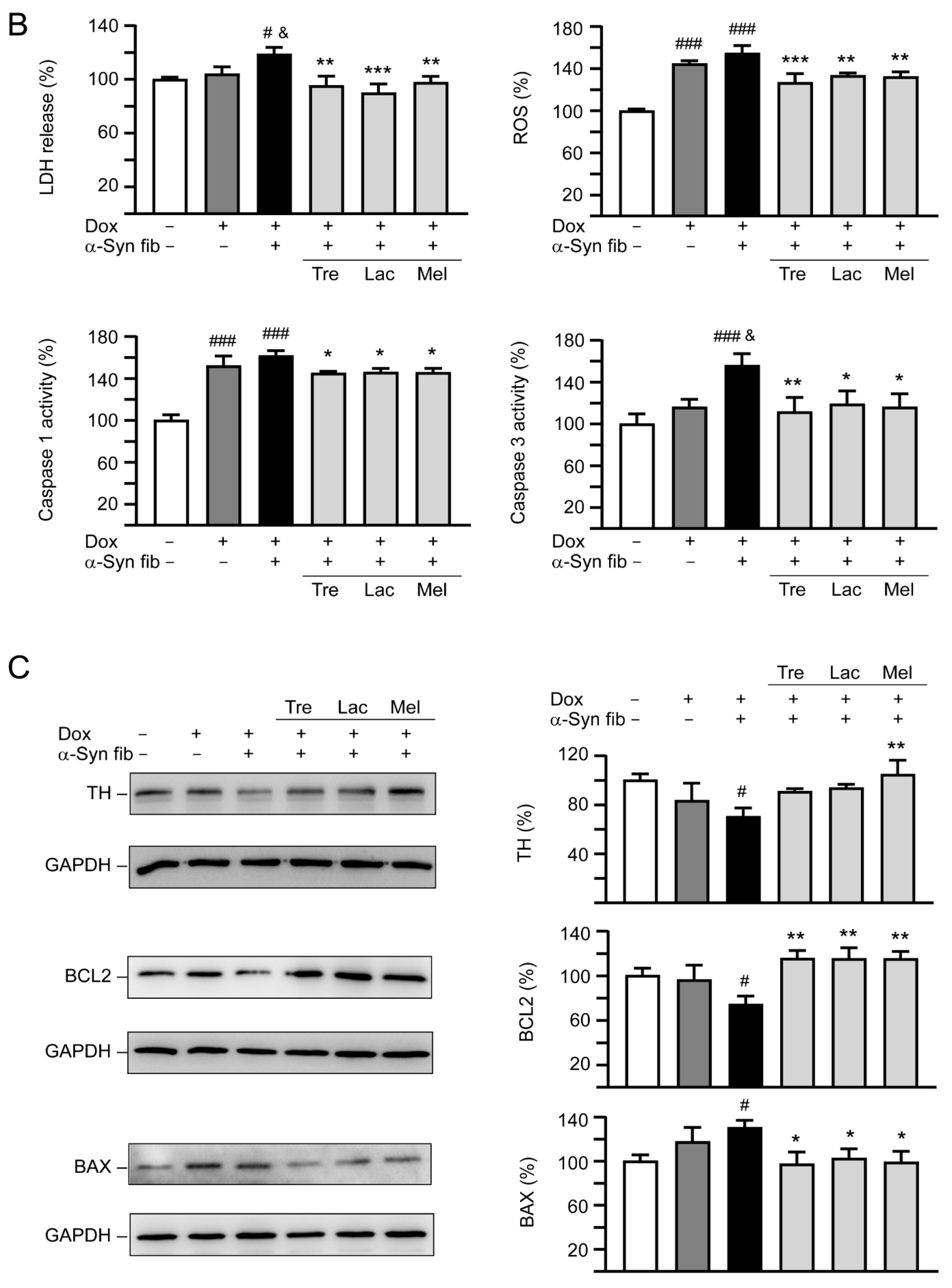 Cells 09 01230 g006b