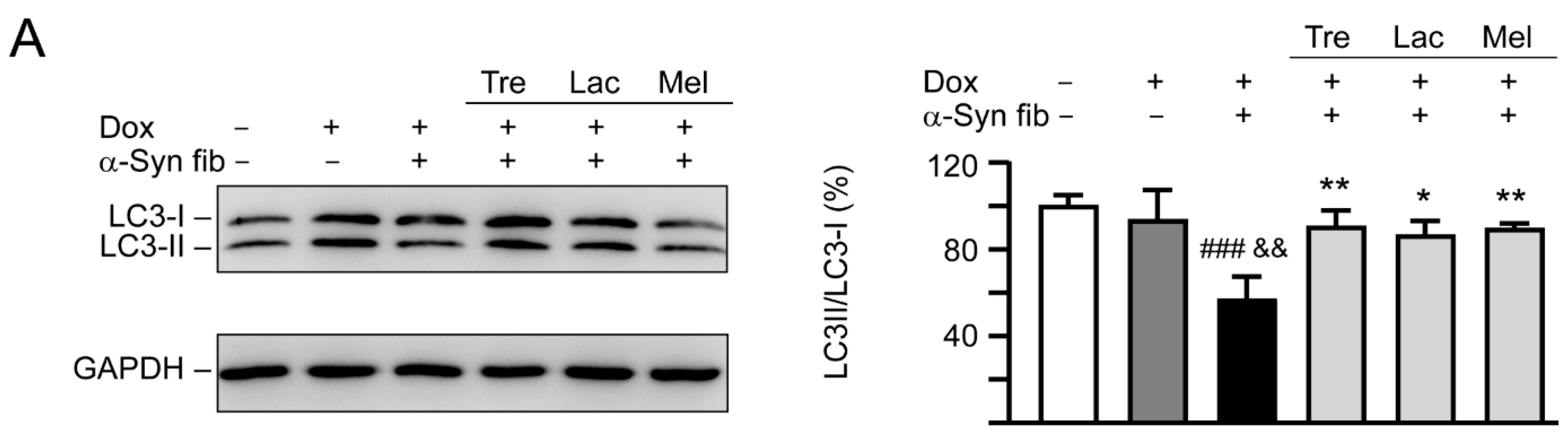 Cells 09 01230 g007a