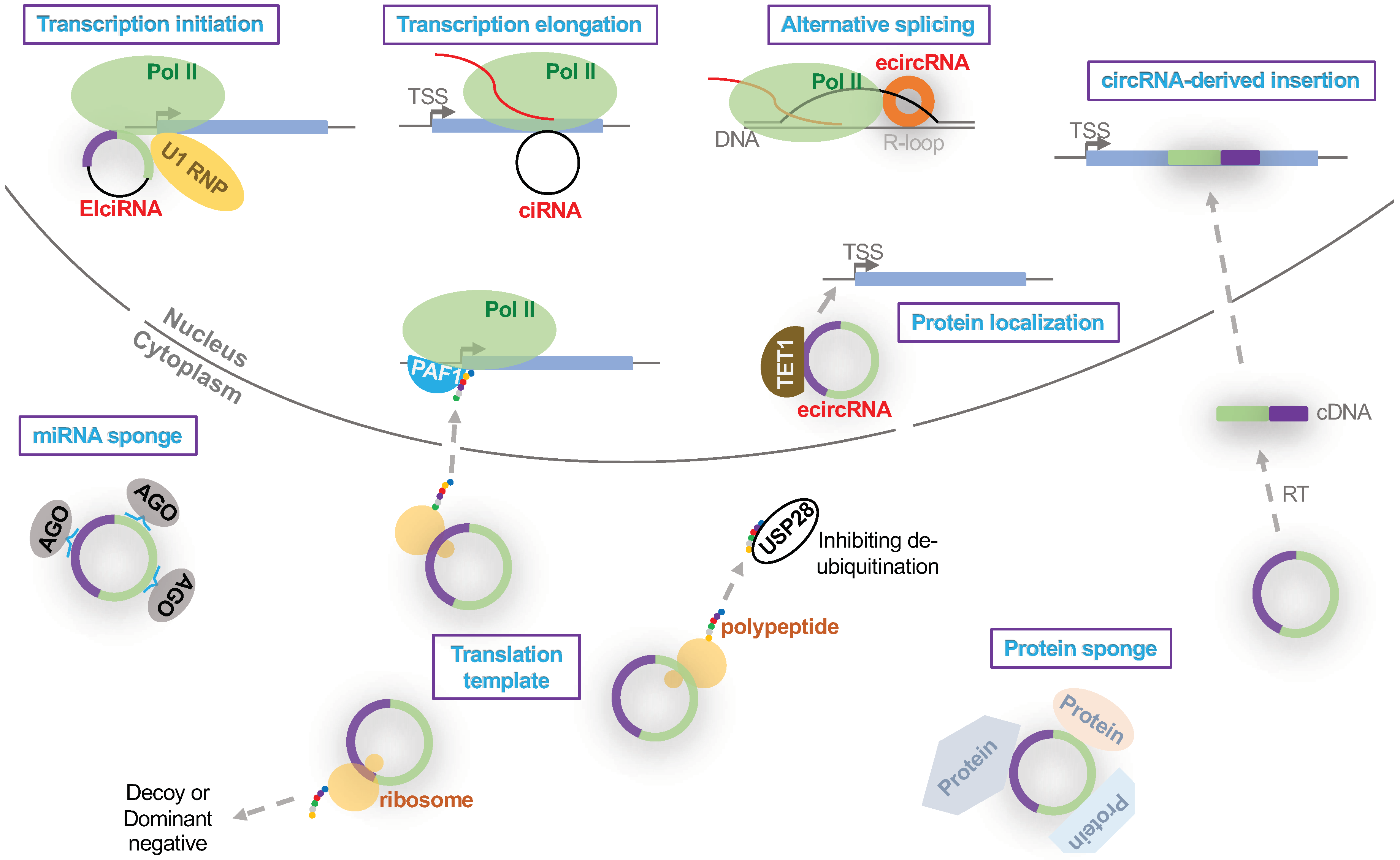 Cells 09 01240 g002 Cells 09 01240 g002