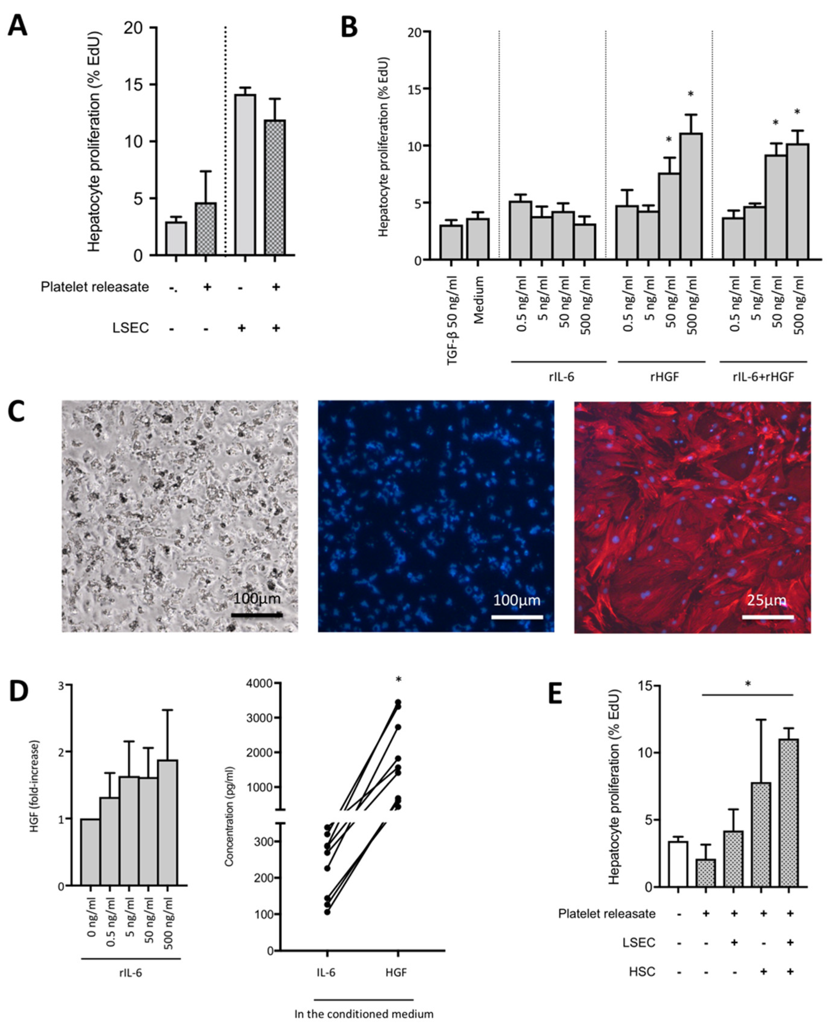 Cells 09 01243 g002 Cells 09 01243 g002