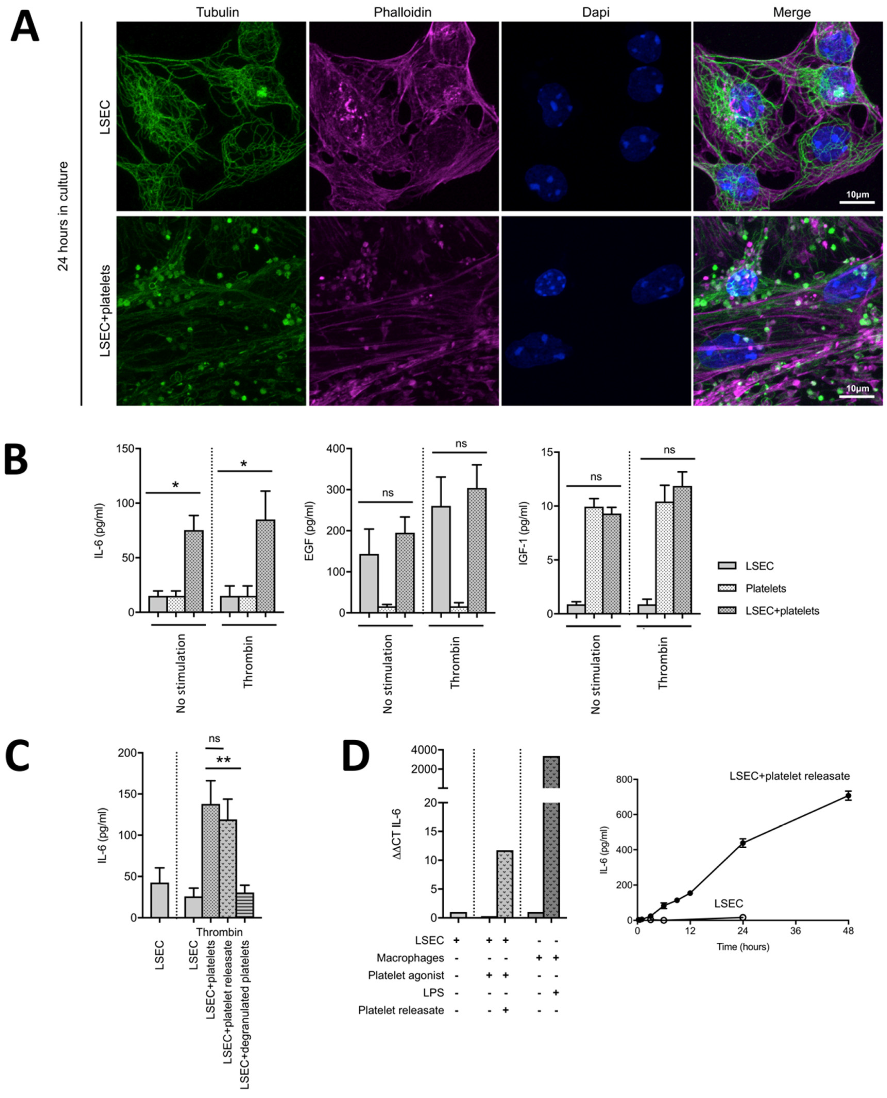 Cells 09 01243 g003 Cells 09 01243 g003