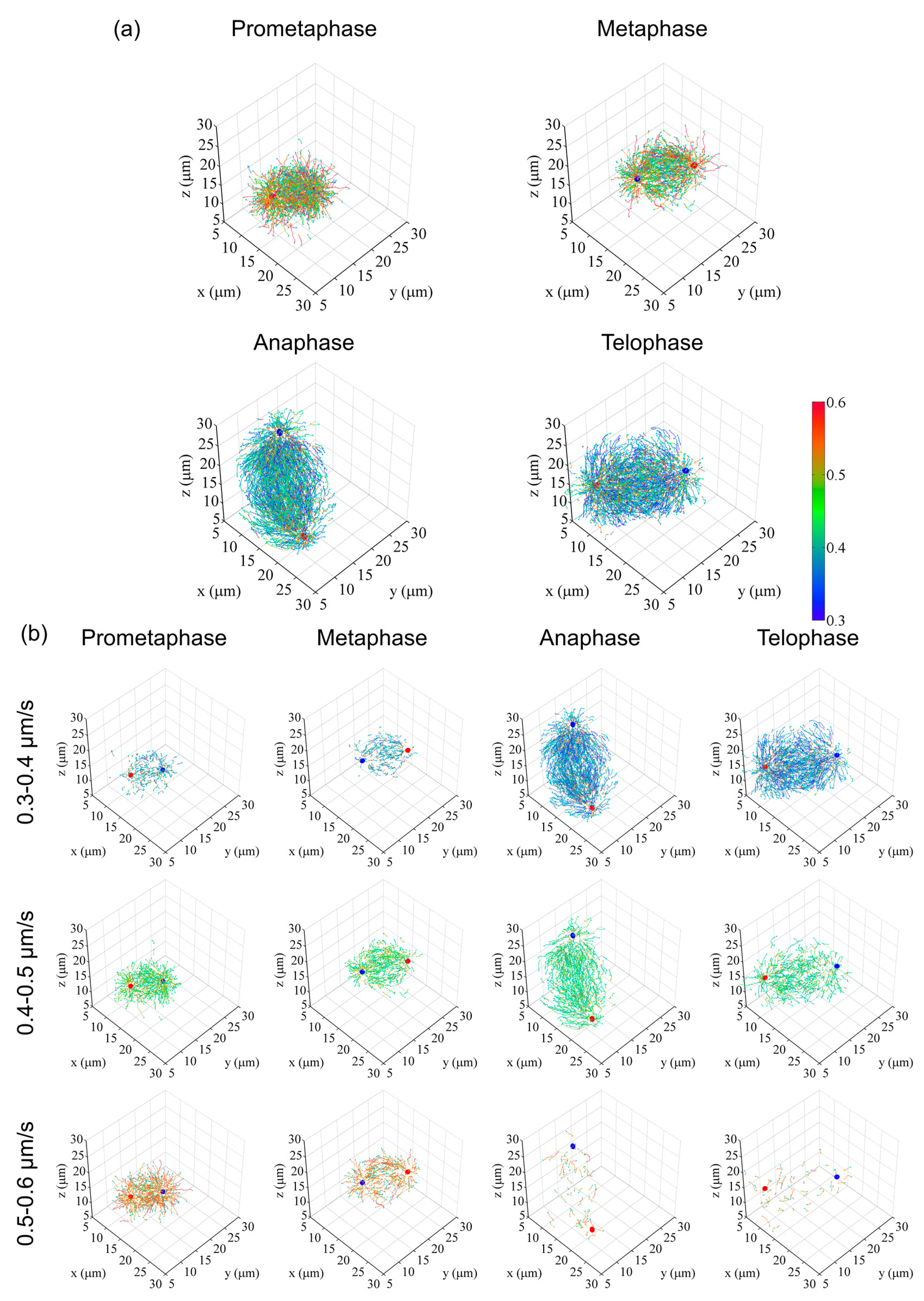 Cells 09 01255 g004 Cells 09 01255 g004