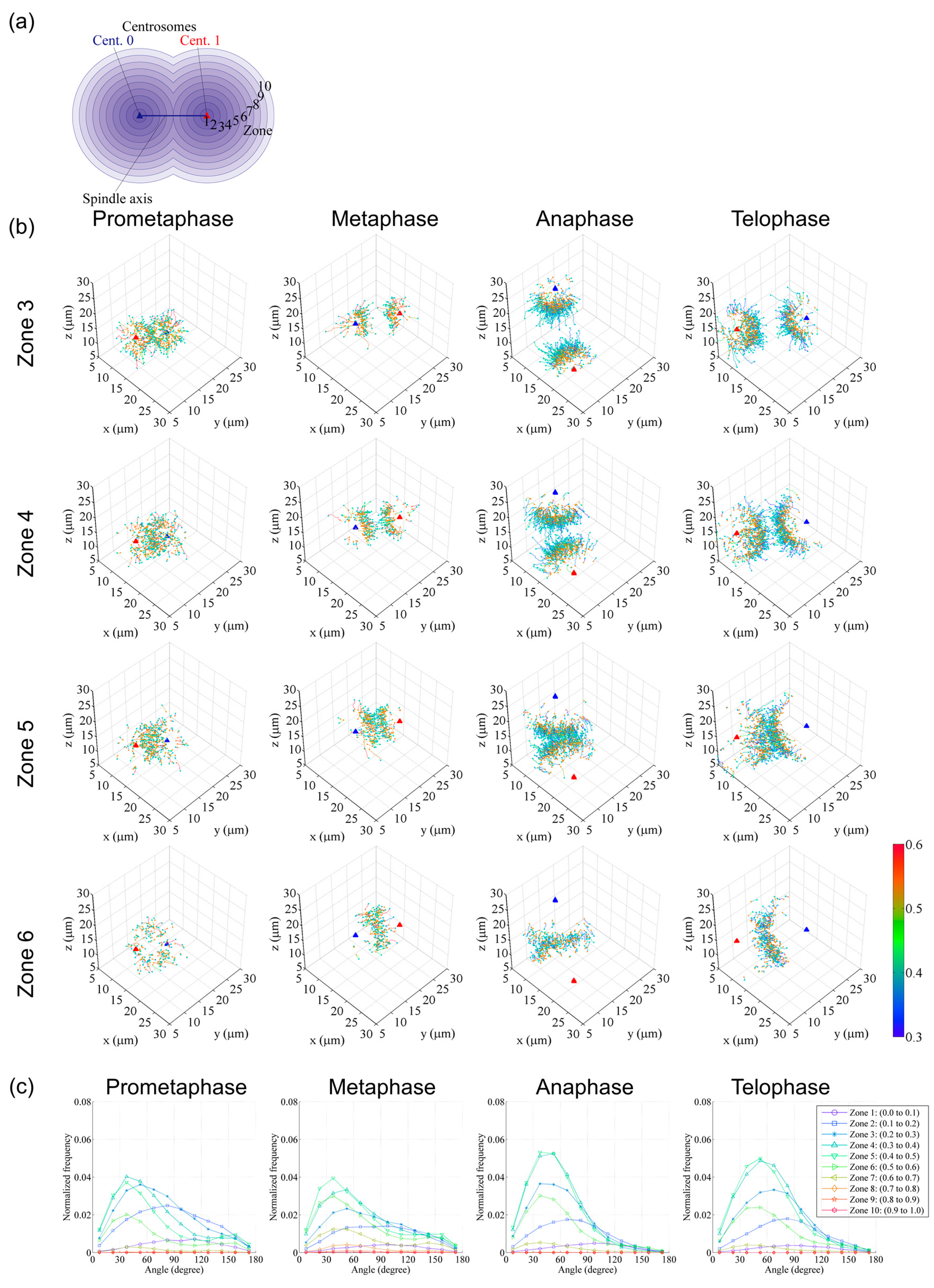 Cells 09 01255 g005 Cells 09 01255 g005