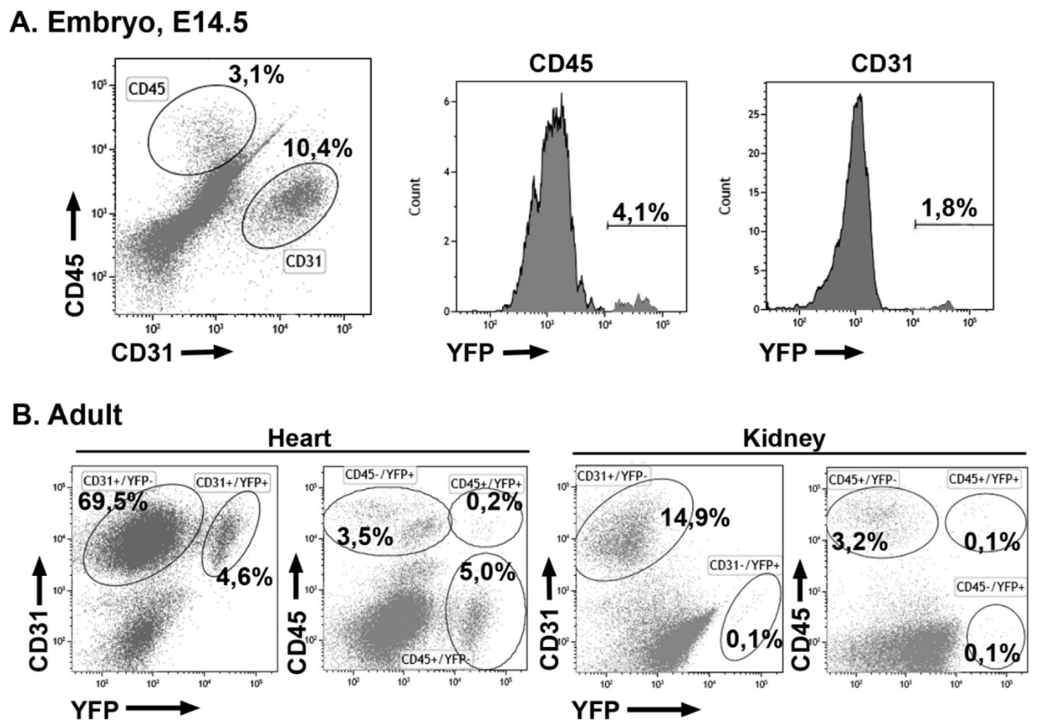 Cells 09 01257 g005