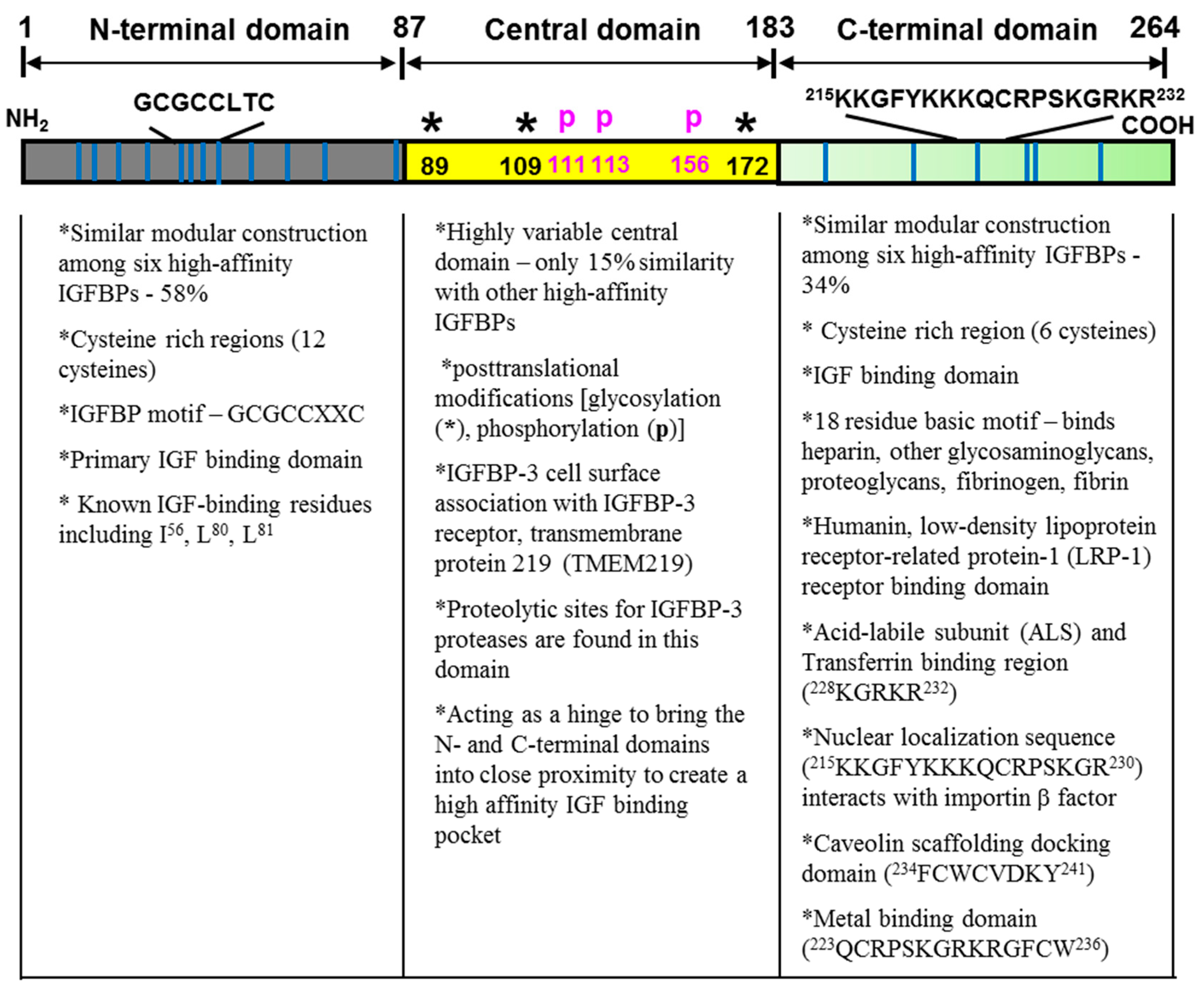 Cells 09 01261 g001 Cells 09 01261 g001